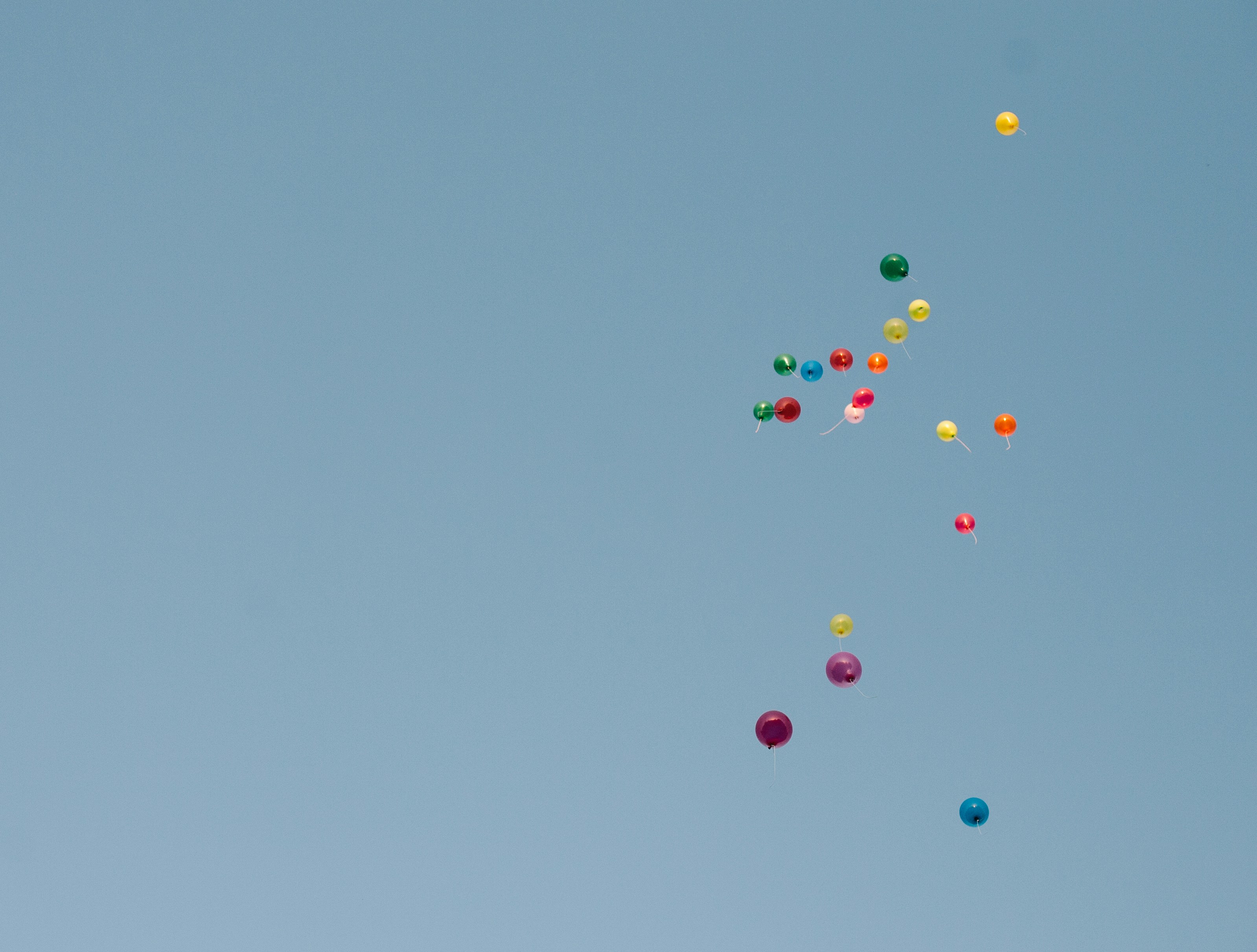 Colorful Party Balloons