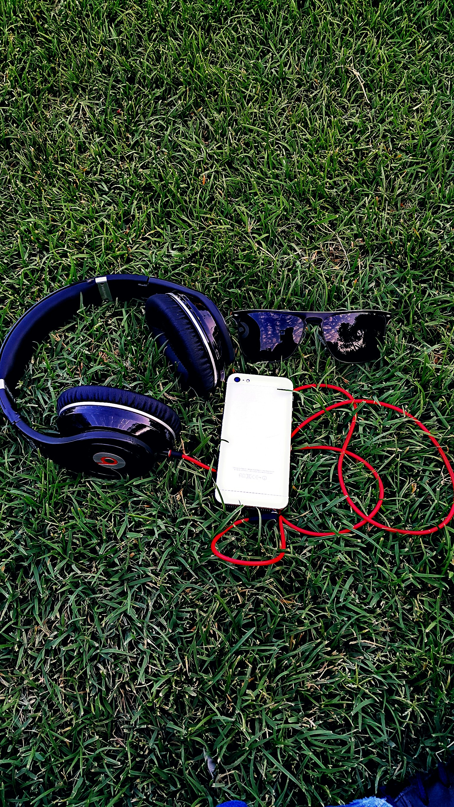 Free Unsplash photo from Alfred Junior