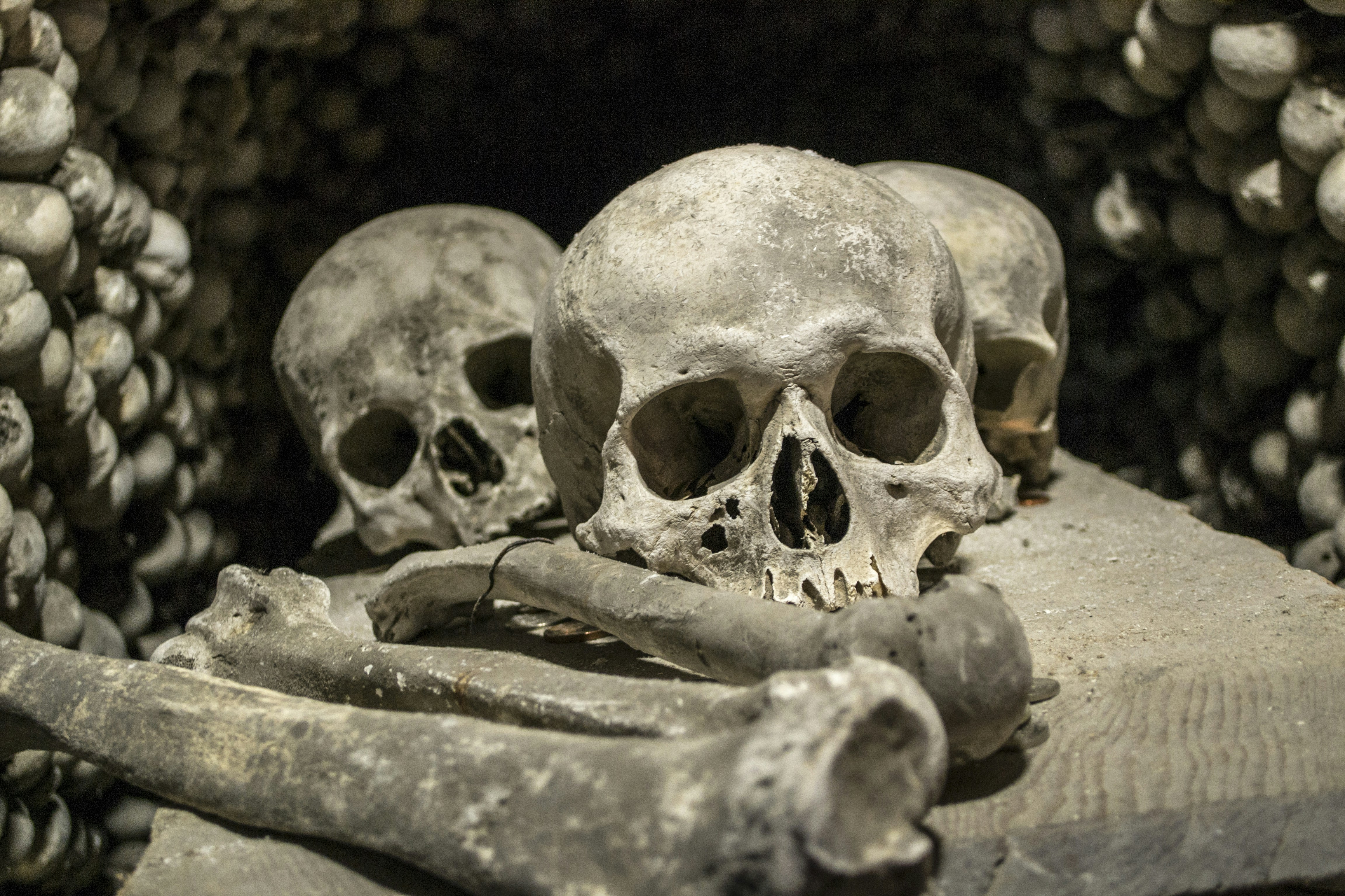 Free Unsplash photo from Connor Goddard