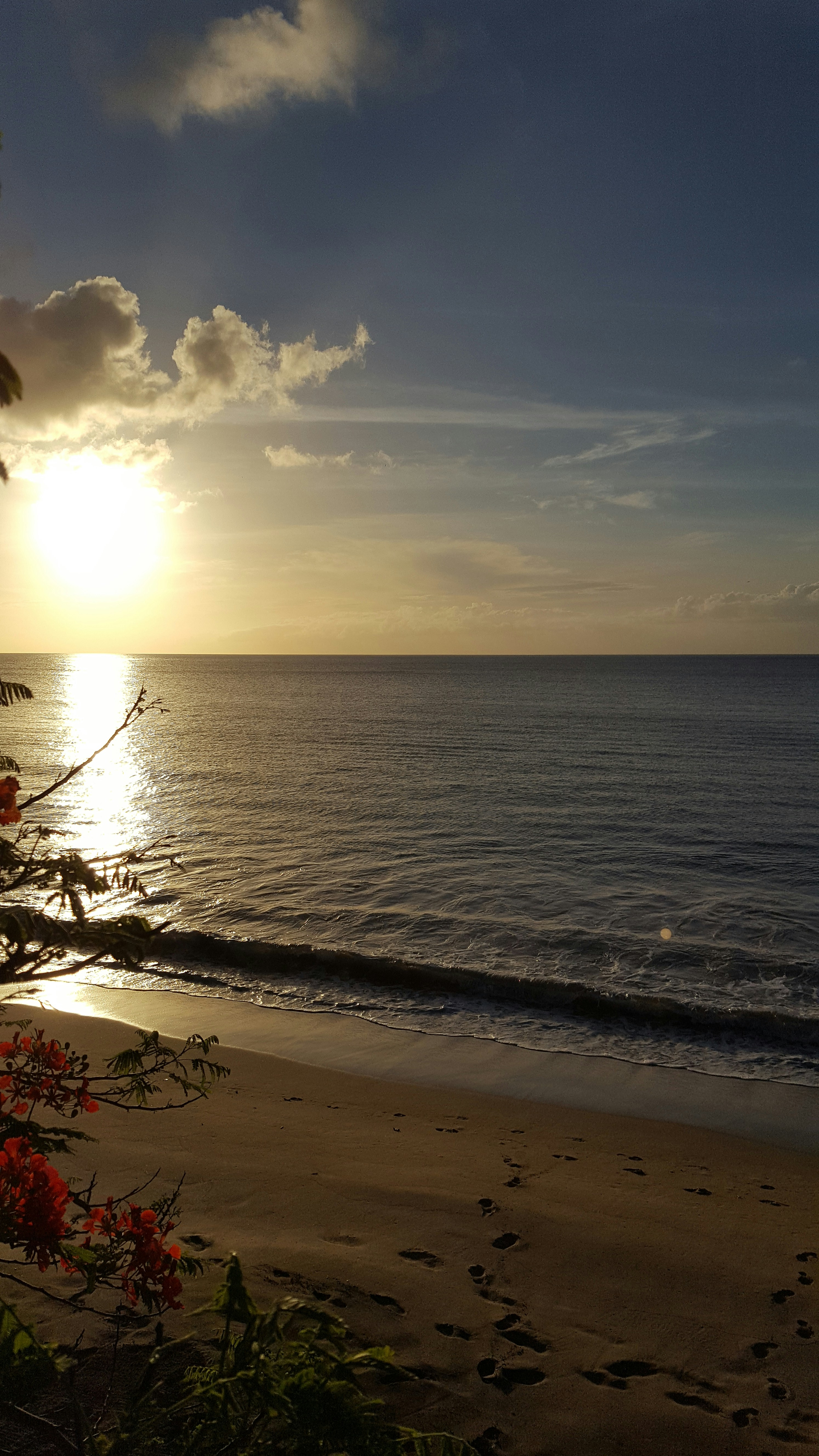 Free Unsplash photo from Kenicia Borrell