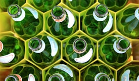 A top-down view of a group of green glass bottles arranged in a neat, orderly fashion within a yellow grid-like container. The bottles are open and have labels with some visible text.
