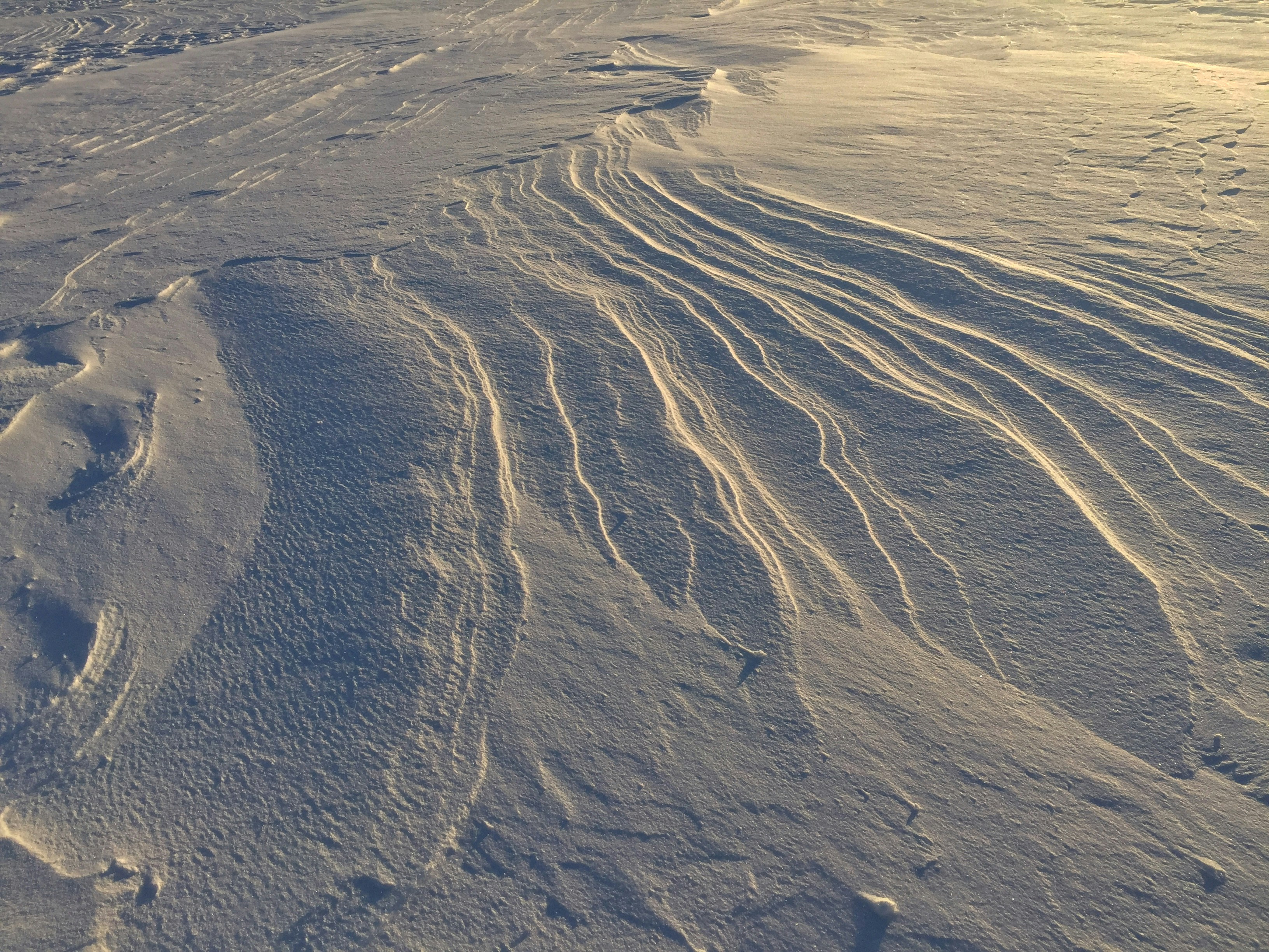 Free Unsplash photo from Anna Koroleva