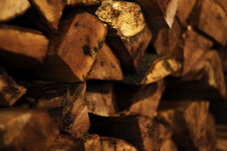 A close-up of a hand holding a handful of rich, aromatic wood pellets with a warm, natural background.