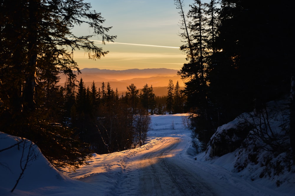 Carretera que conduce a un campo nevado