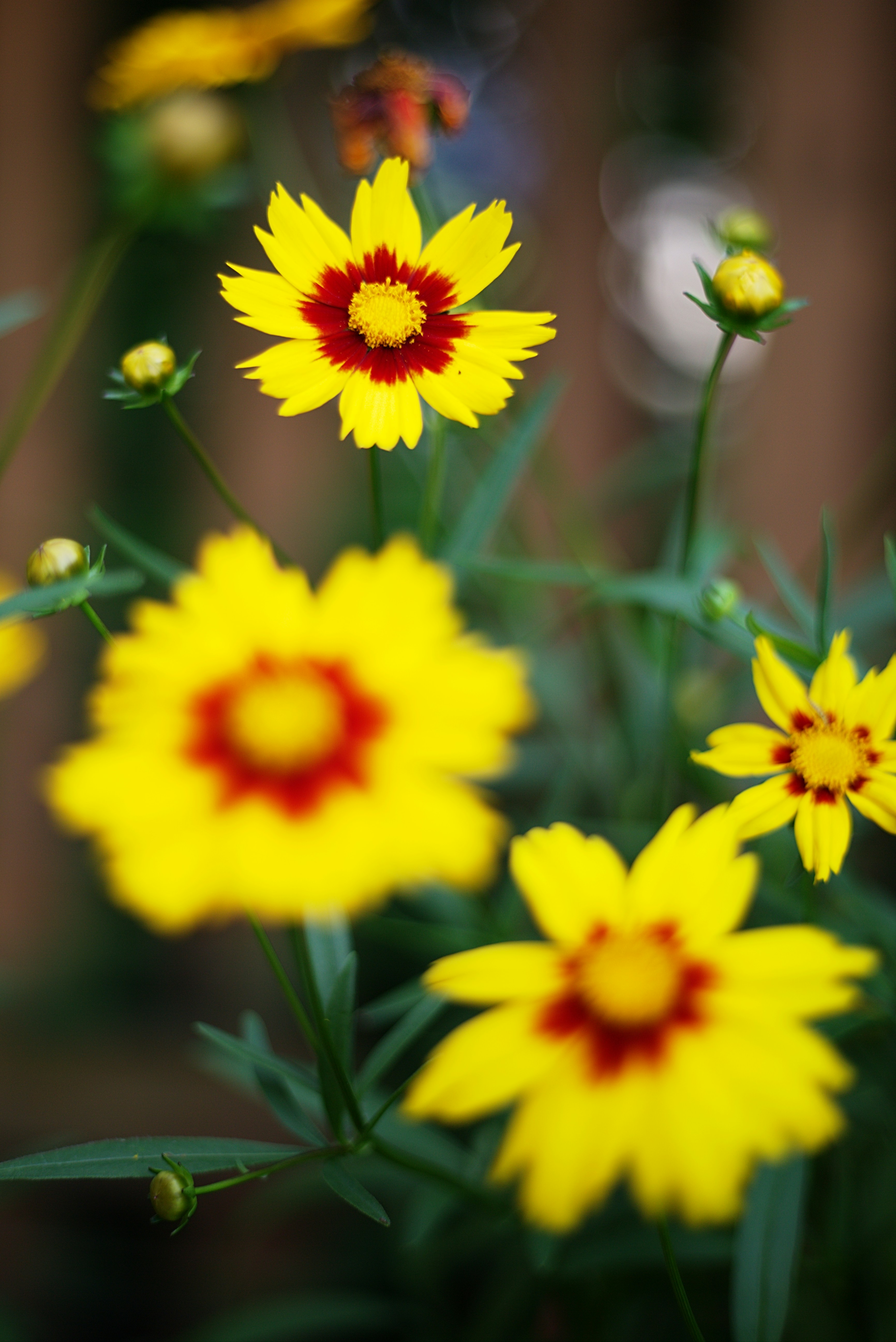 Free Unsplash photo from tom creighton