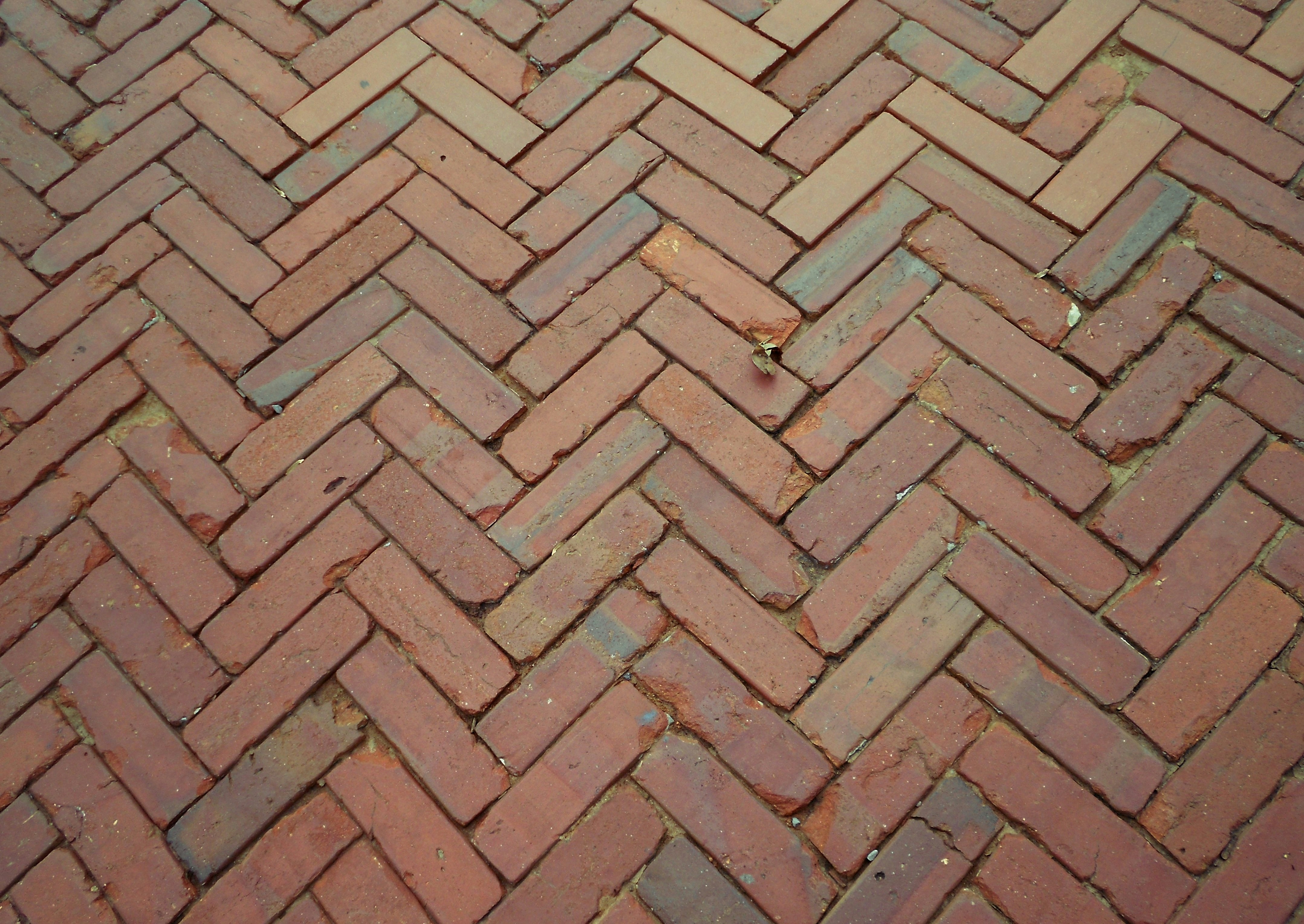 Free Unsplash photo from Gretchen