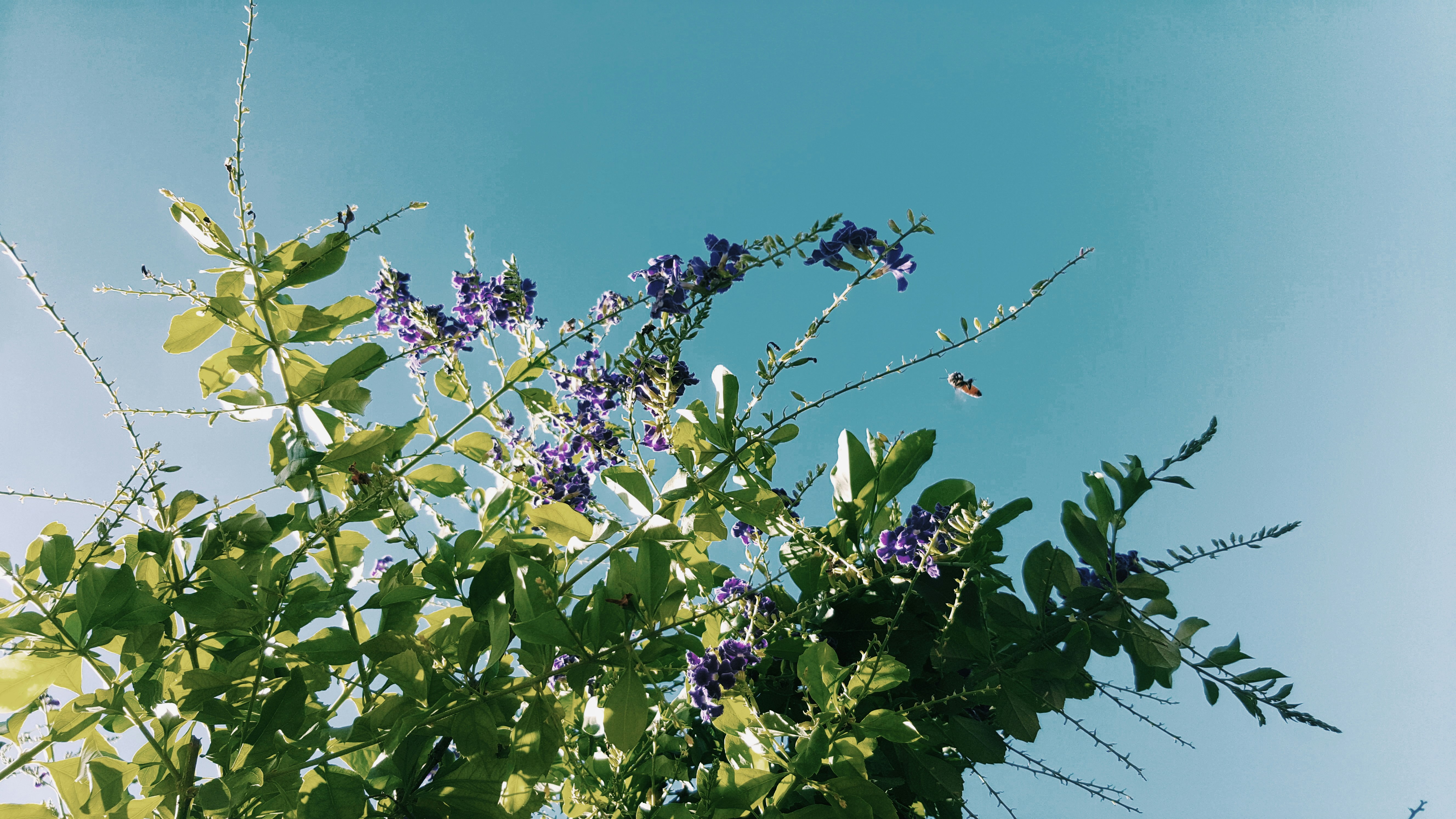 Free Unsplash photo from Alv Chen