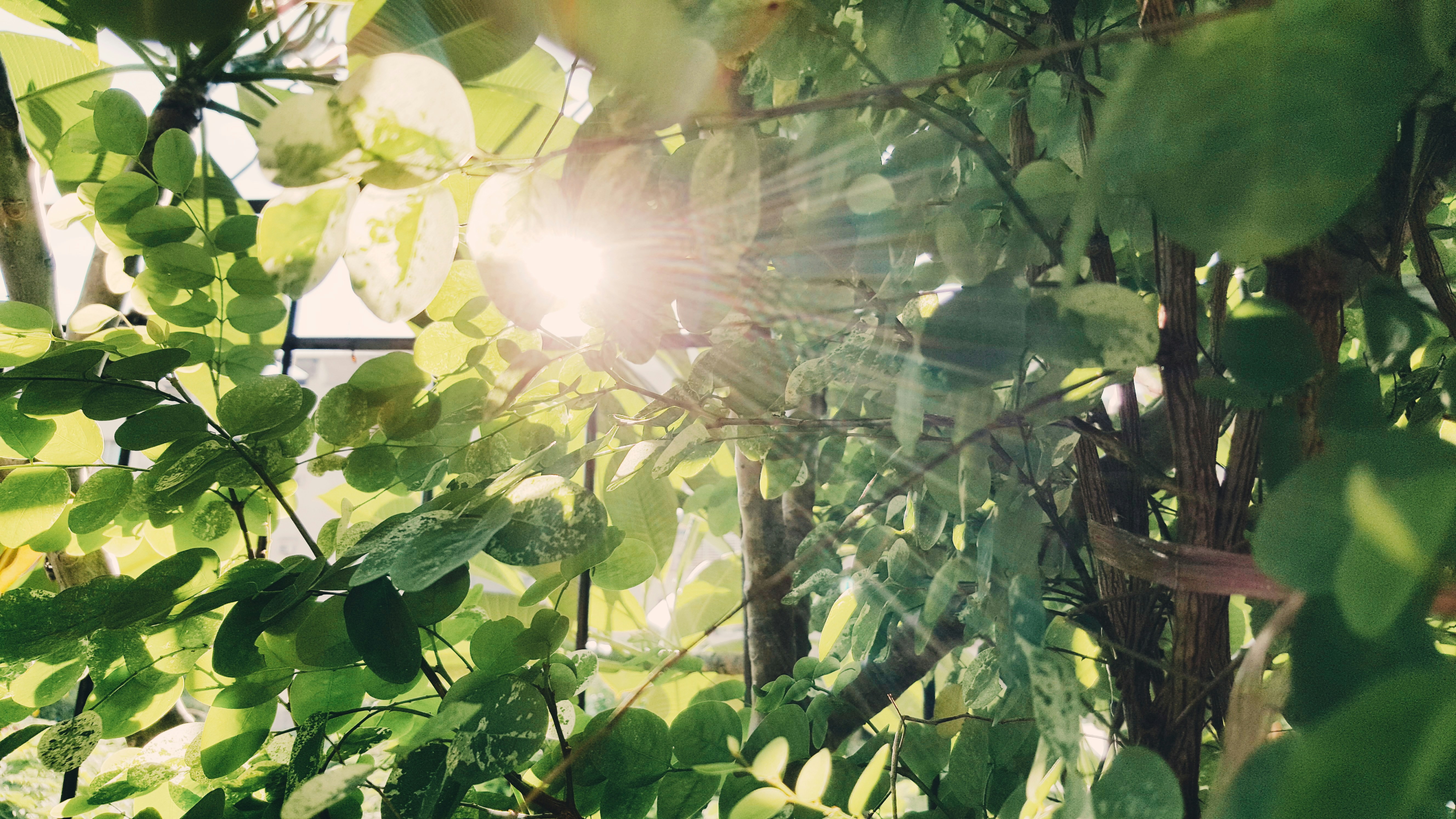 Free Unsplash photo from Alv Chen