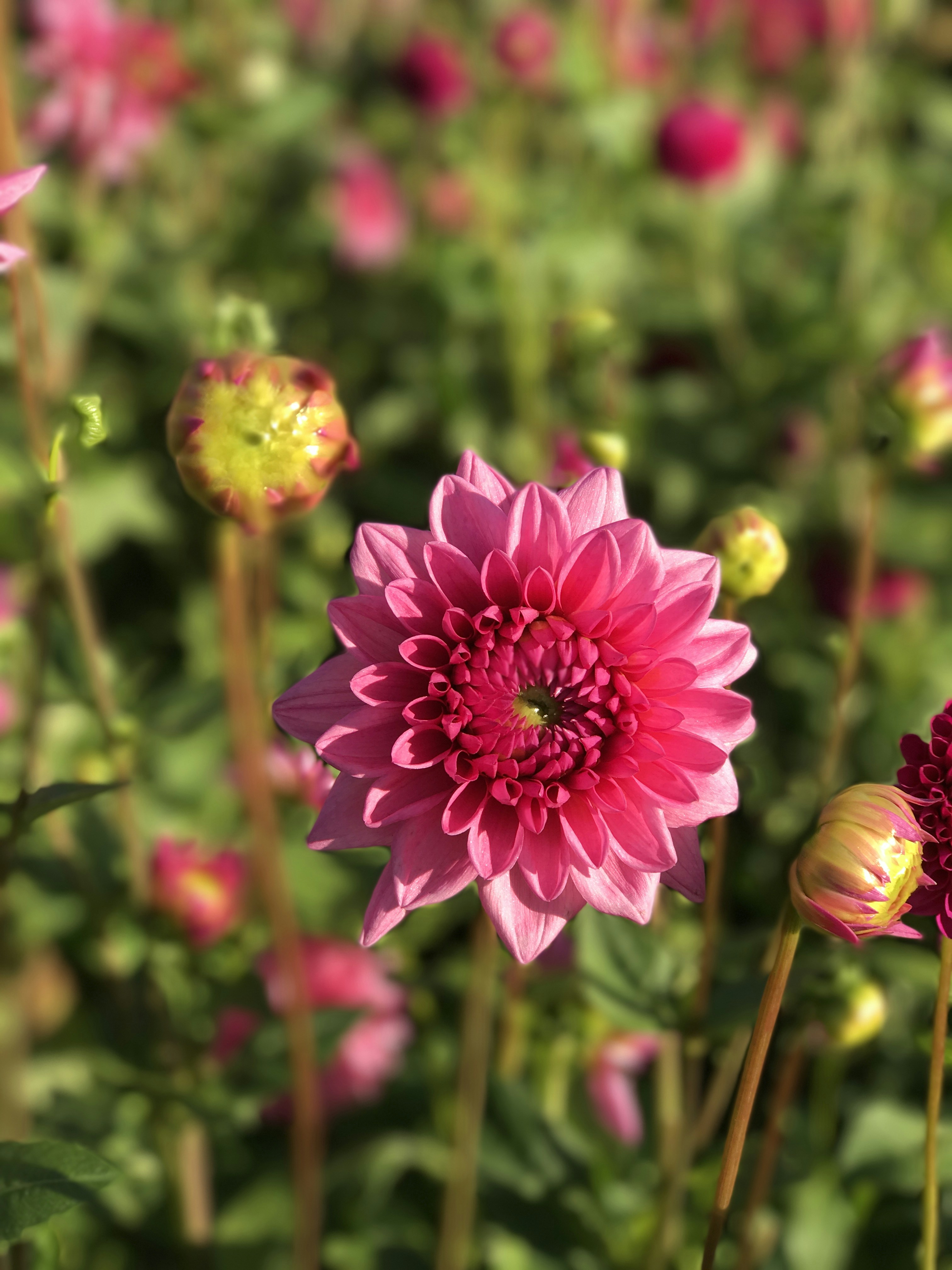 Free Unsplash photo from Artur Zwierzycki