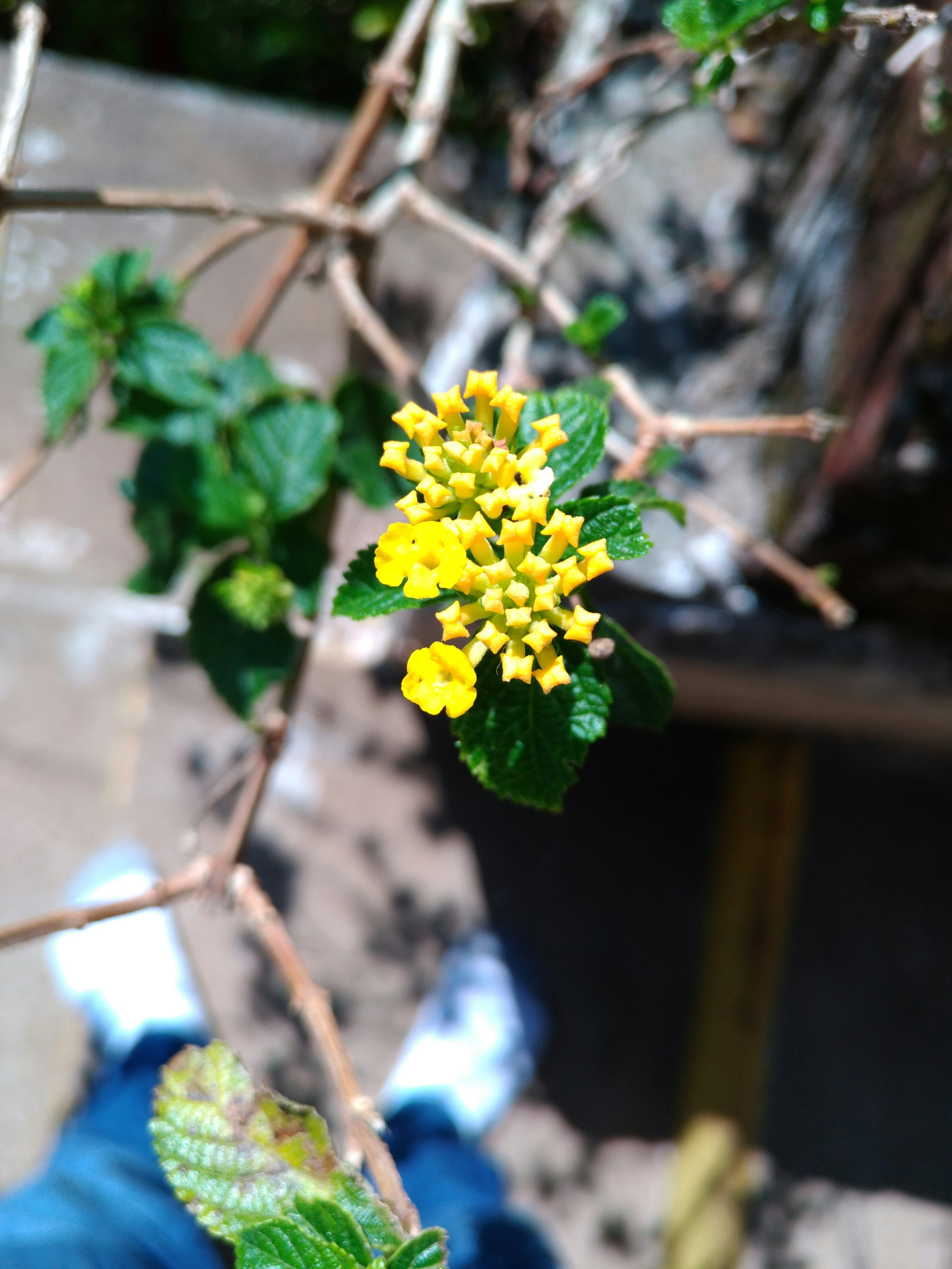 Free Unsplash photo from rajat patel