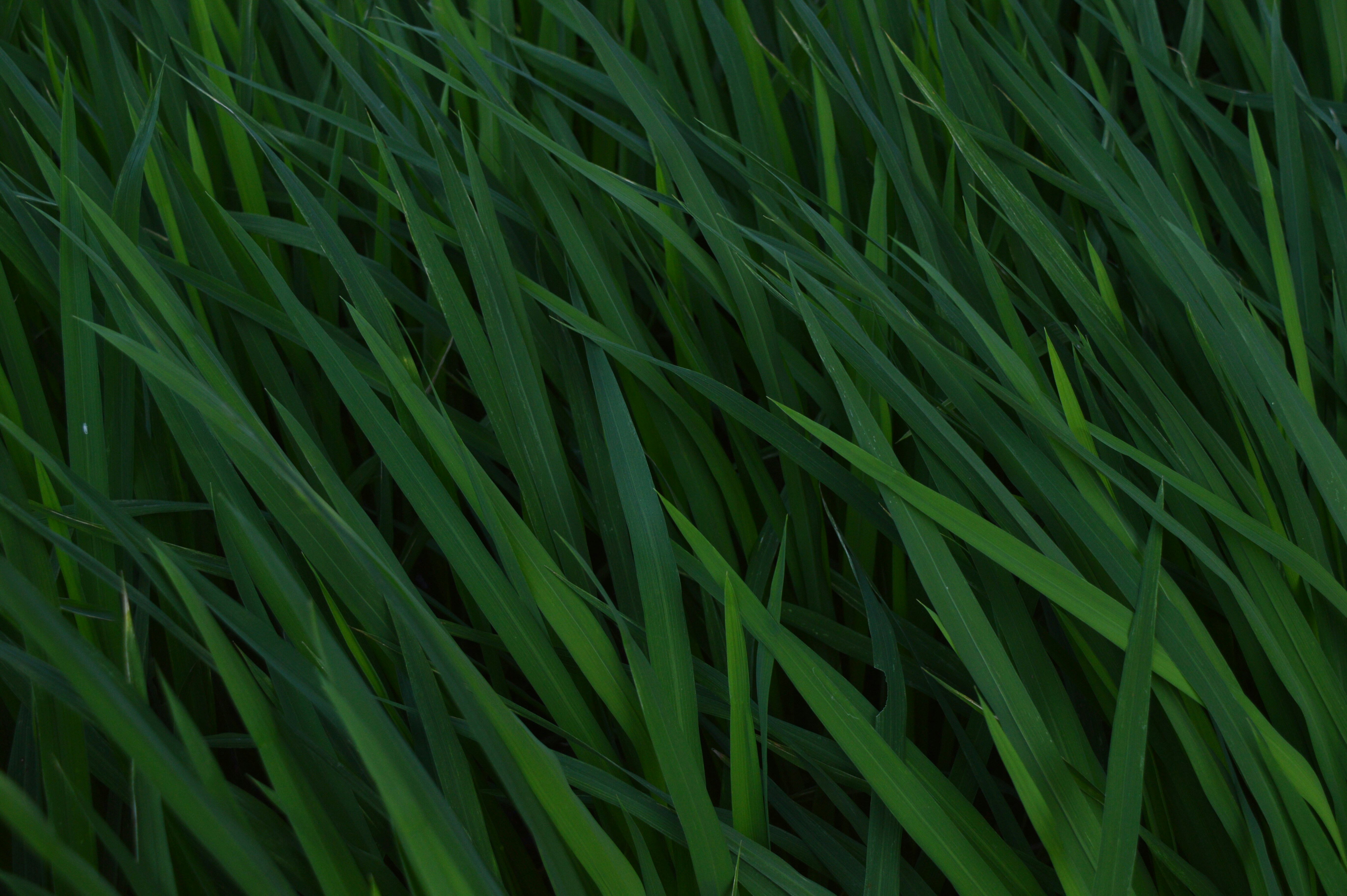 Free Unsplash photo from 绝举 就解见