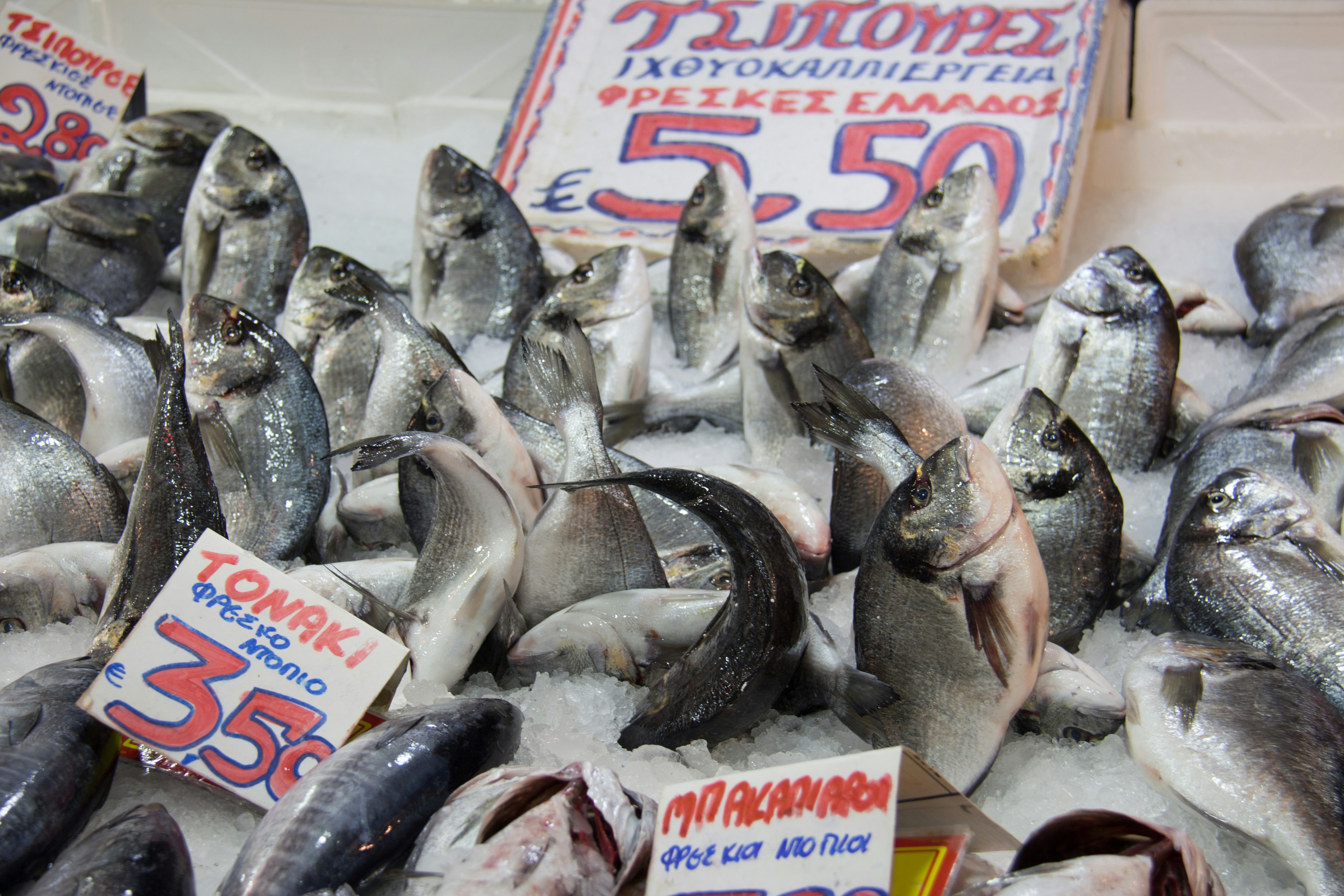 Free Unsplash photo from Alexander Probst