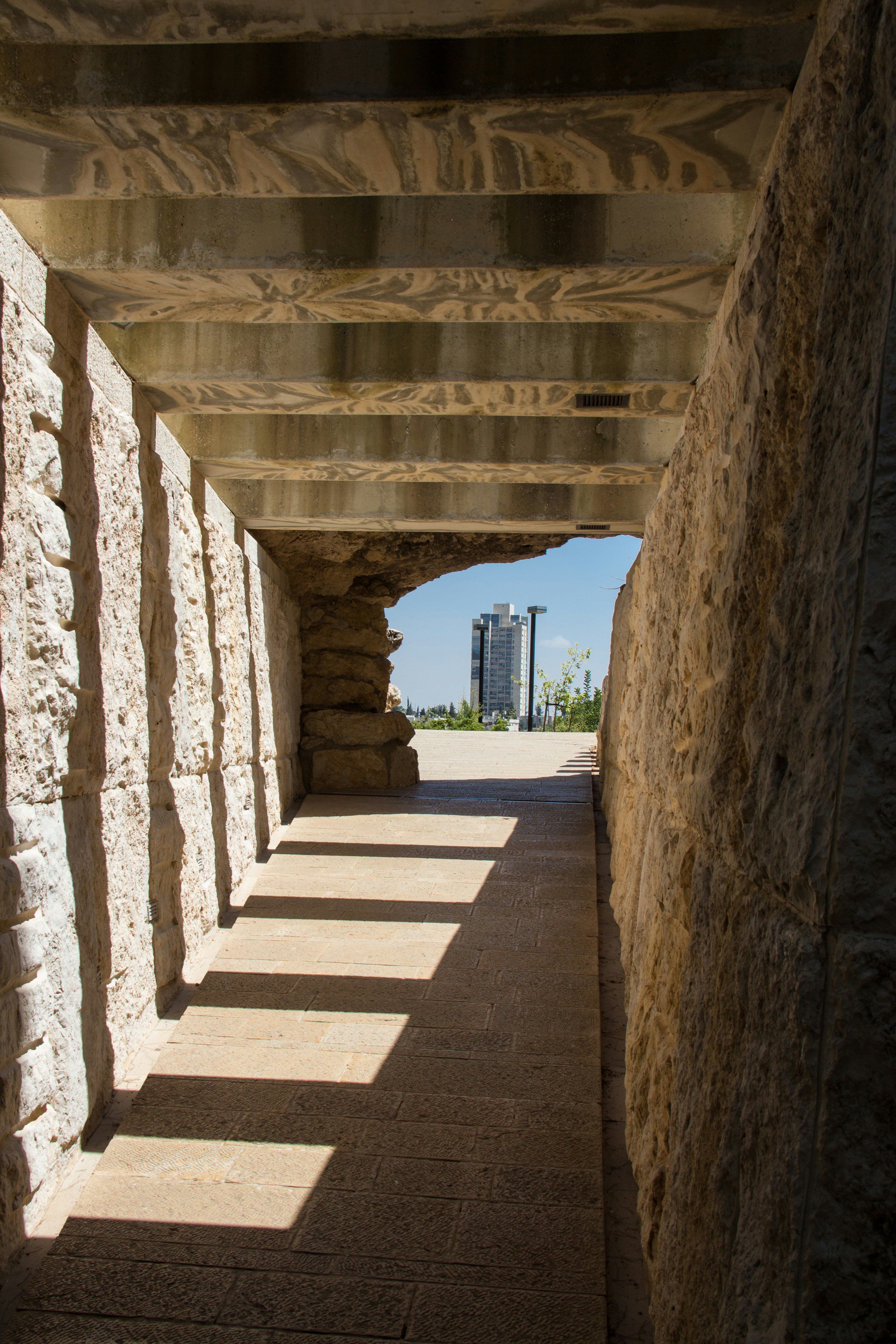 Free Unsplash photo from Alexander Probst