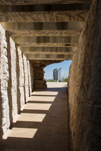 Outdoor pathway paved with sturdy, stylish concrete paver blocks under natural sunlight.