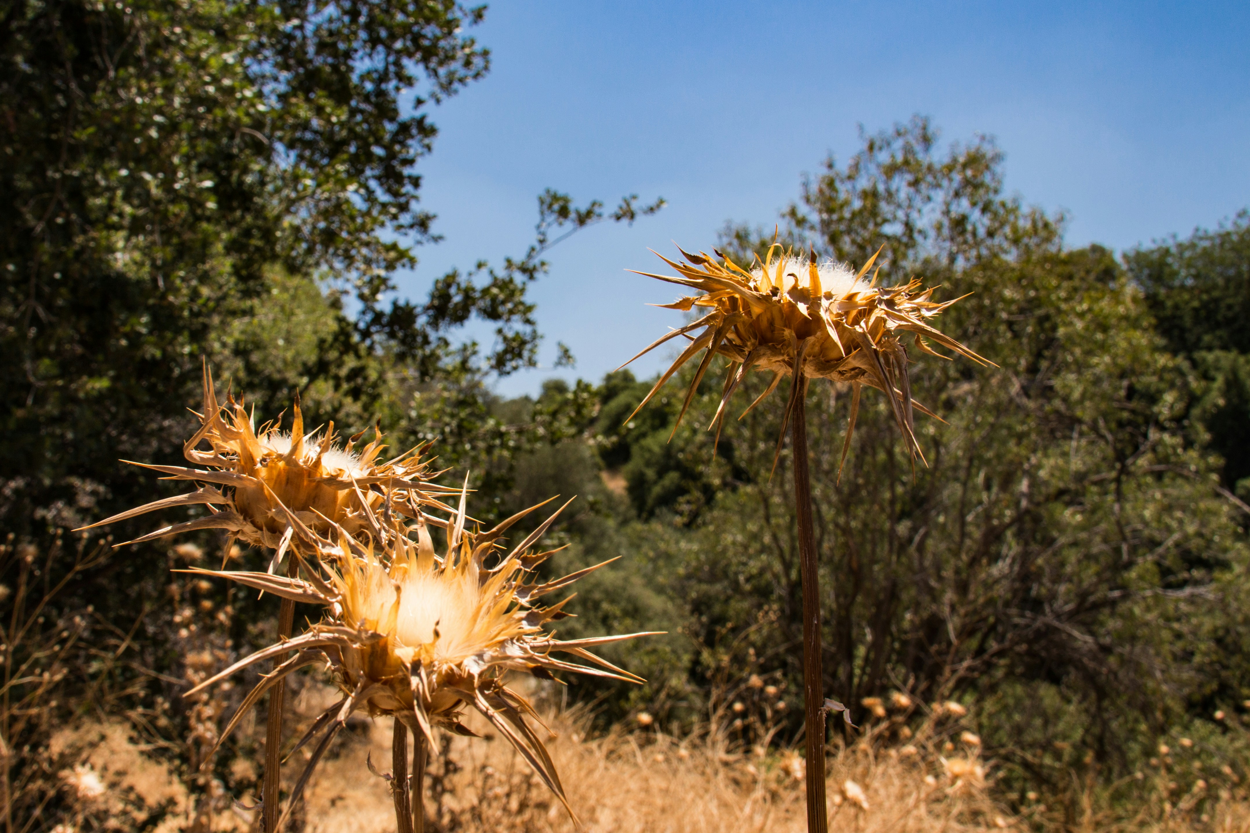 Free Unsplash photo from Alexander Probst