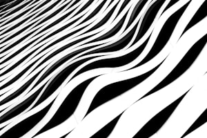 Modern Zebra Blind