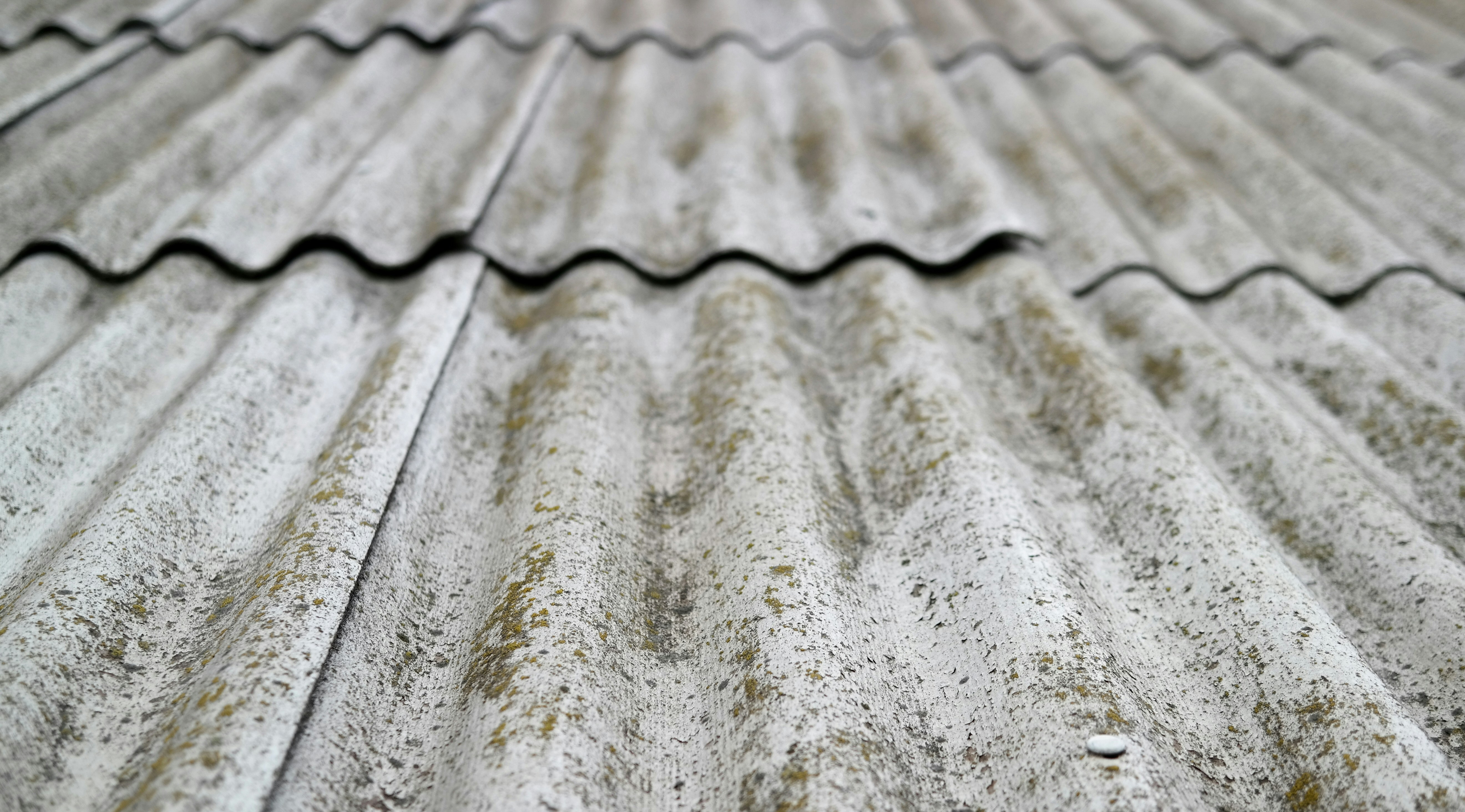 Free Unsplash photo from Eugeny Kiselyov