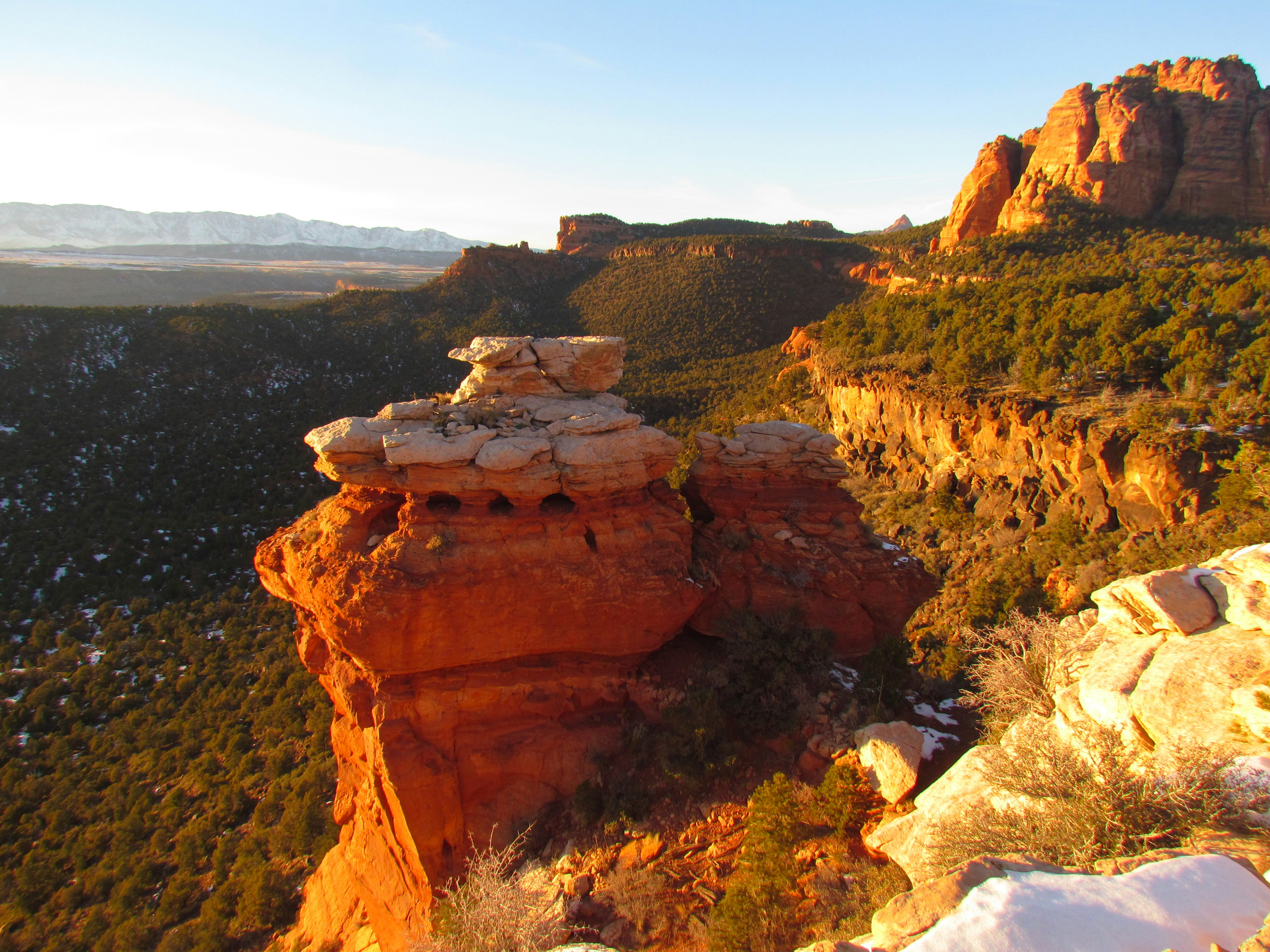 Free Unsplash photo from Olivia Harvey