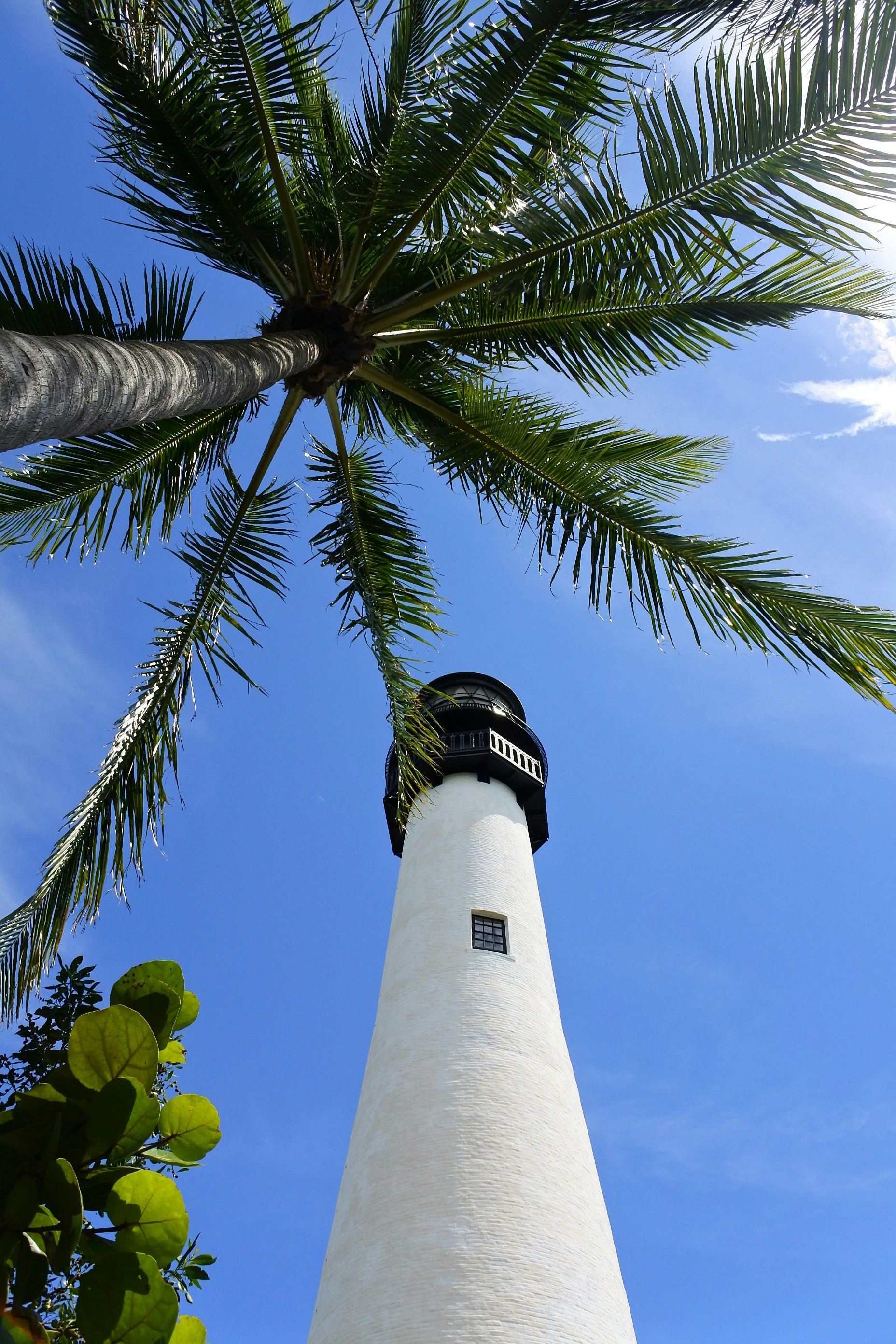 Free Unsplash photo from Pawel Kilinski