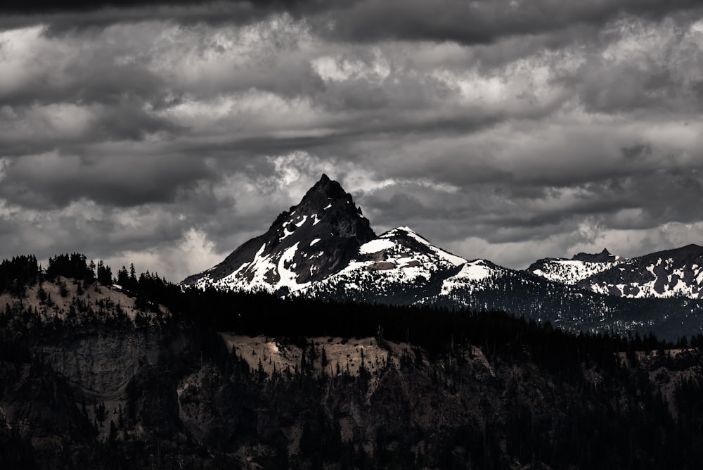 grayscale photography of mountains and trees