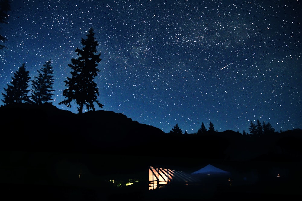 silhouette of mountain and trees under starry sky