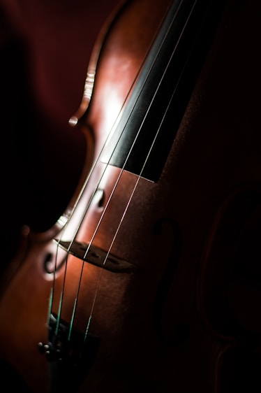 A close-up view of a violin showing the rich, warm wood texture and the strings in sharp focus. The lighting highlights the curves and details of the instrument, casting soft shadows.