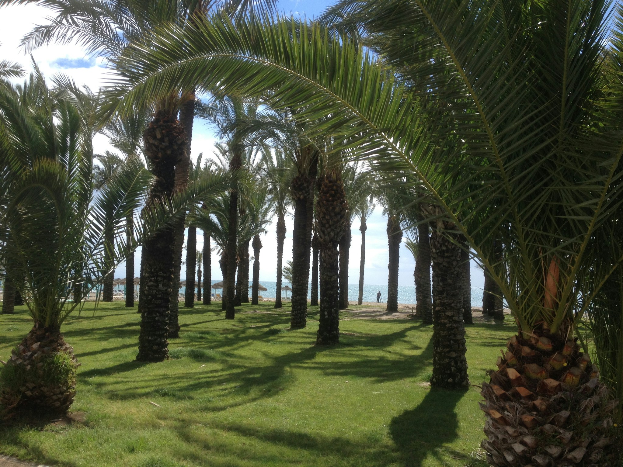 Free Unsplash photo from Frank De Koning