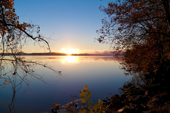 A tranquil lake reflecting the warm colors of a sunrise, with branches of autumnal trees framing the scene. The sky is clear with a soft gradient from orange to blue as the sun rises at the horizon. Mist lightly hovers above the water, creating a serene ambiance.