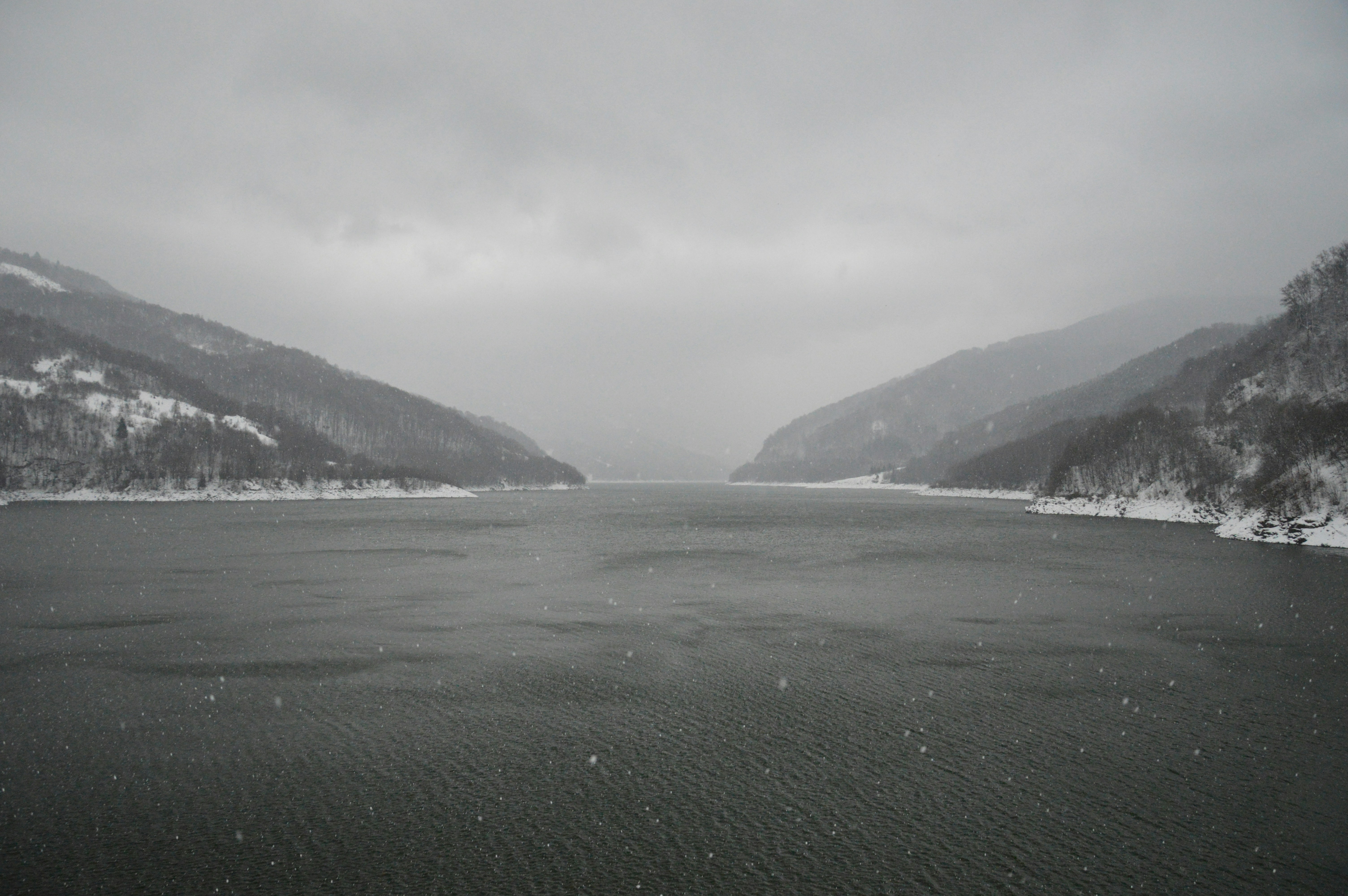 Free Unsplash photo from Razvan Rosu