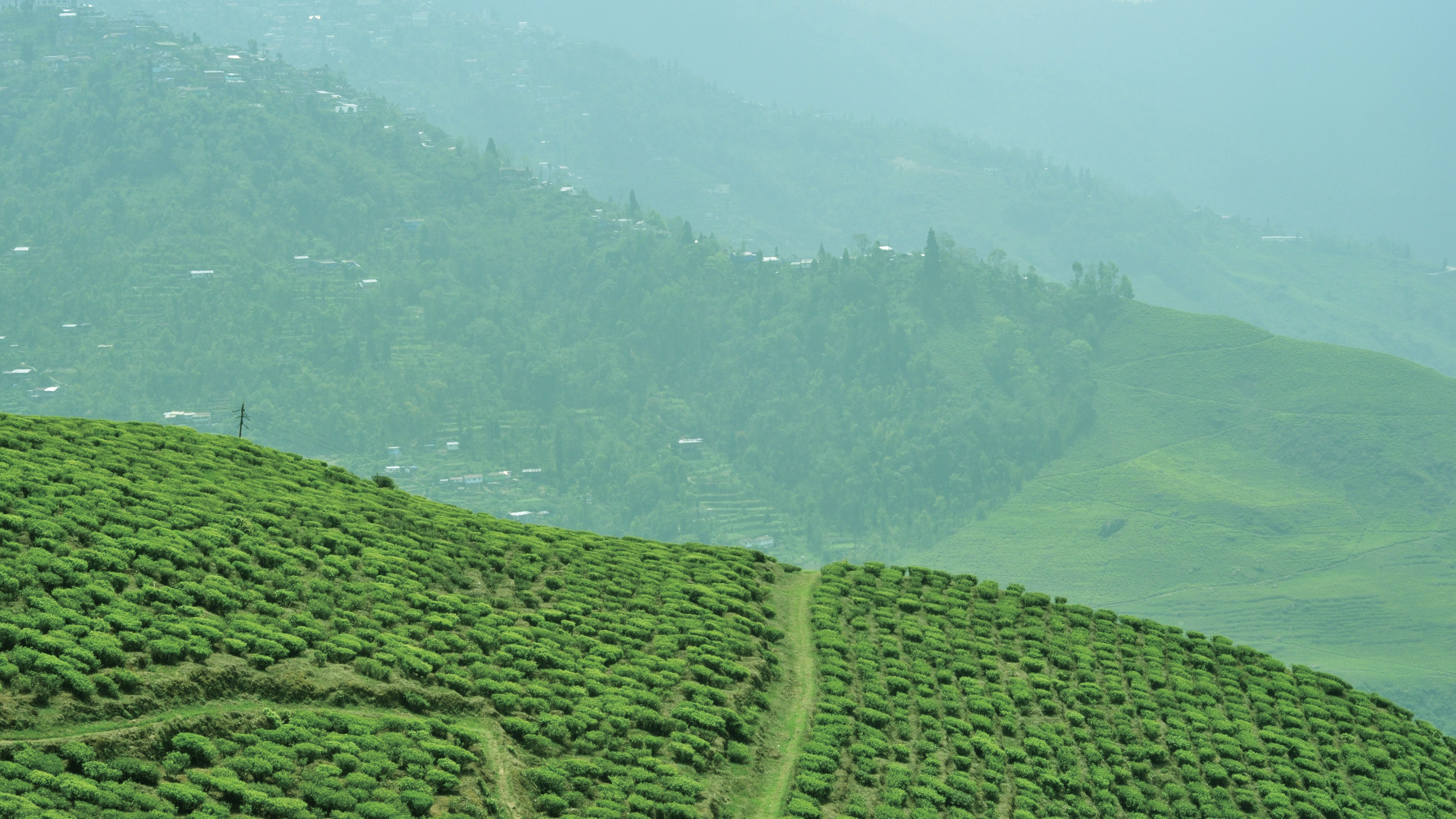 Free Unsplash photo from Francis Cheung