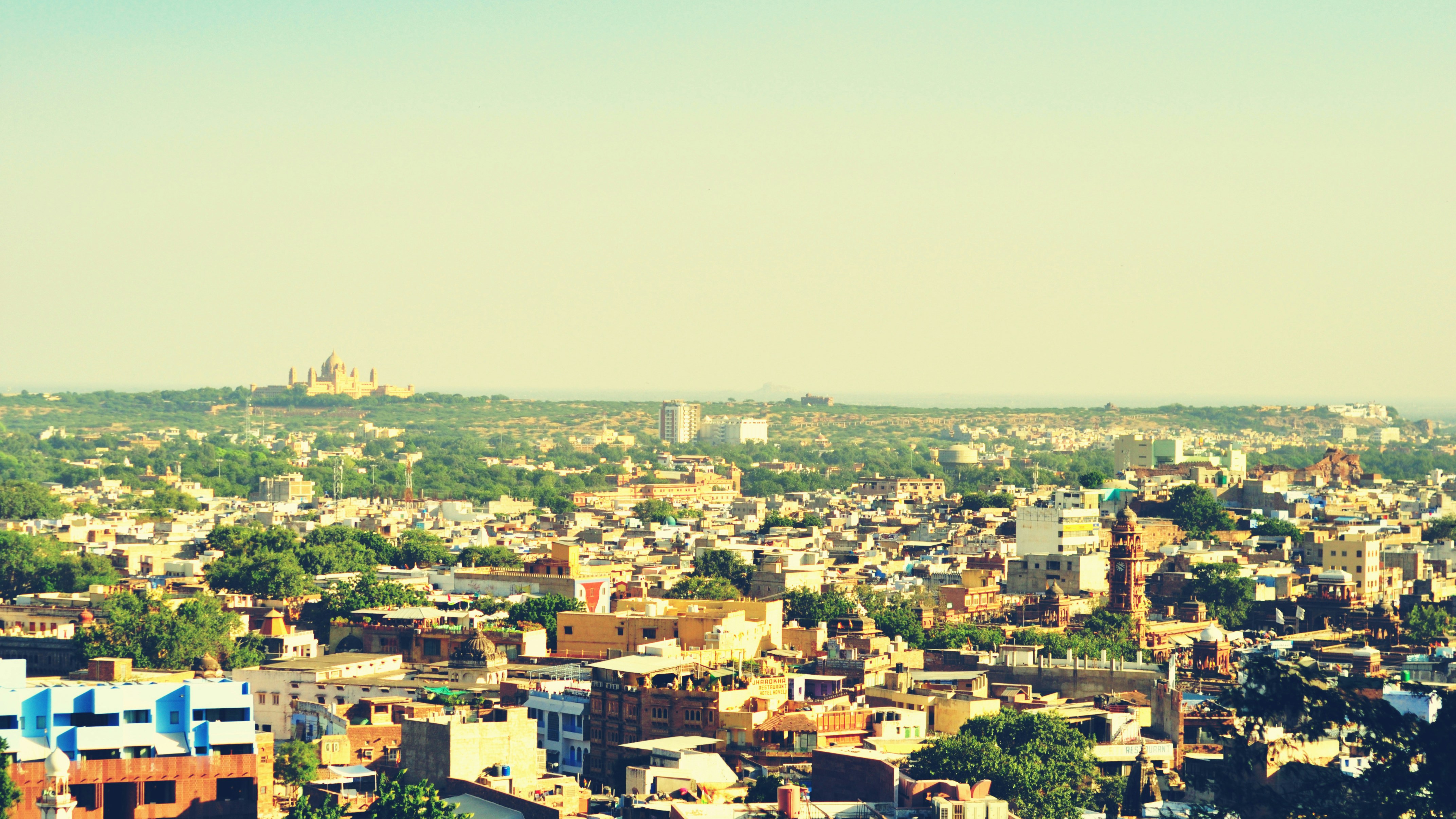 Free Unsplash photo from Francis Cheung