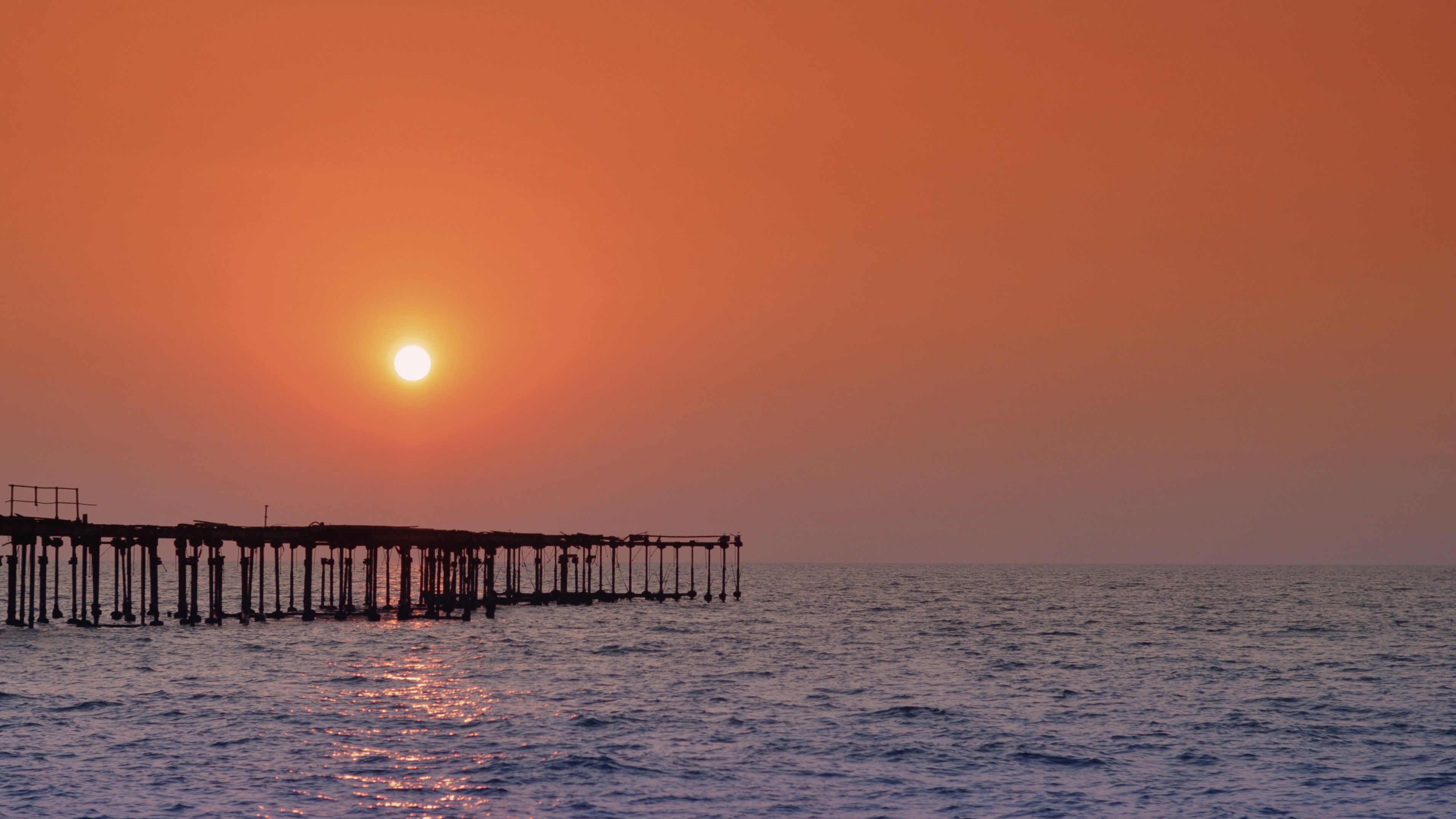 Free Unsplash photo from Francis Cheung