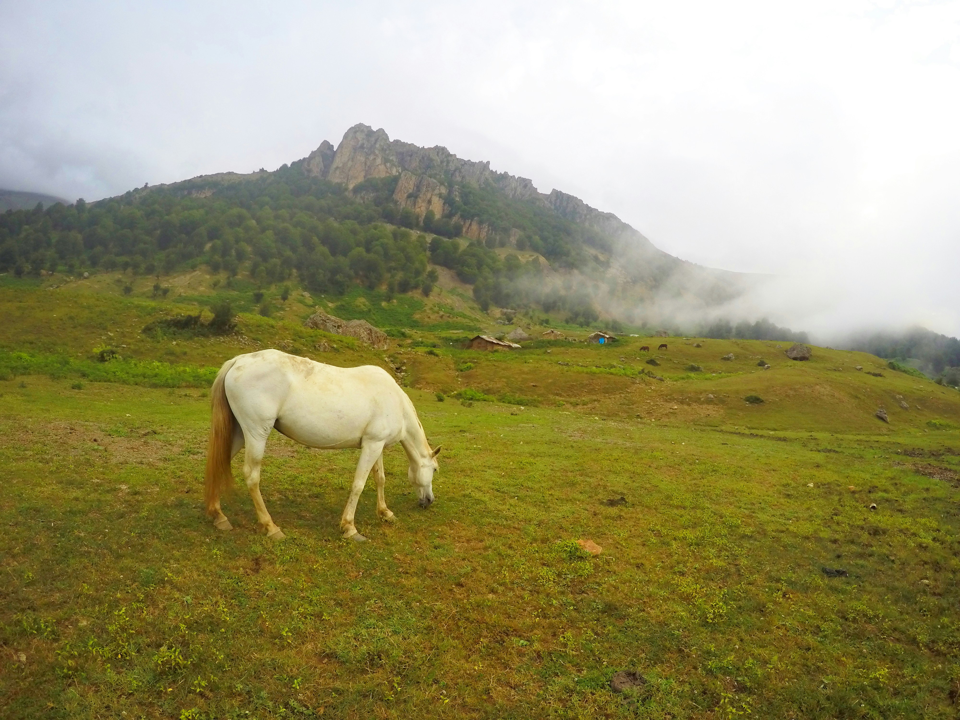 Free Unsplash photo from Mahdi Dibaiee