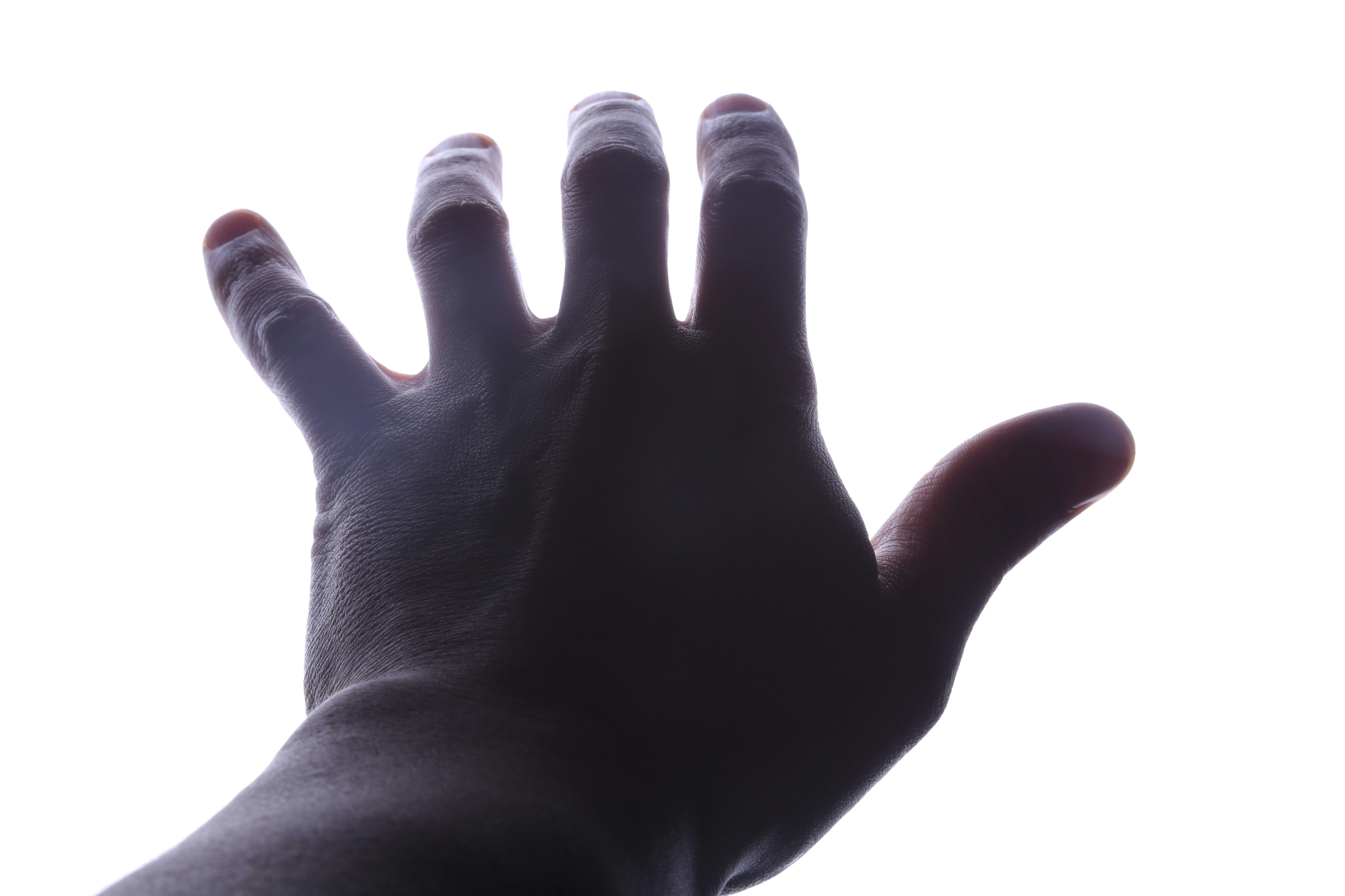 Free Unsplash photo from VideoHoney net