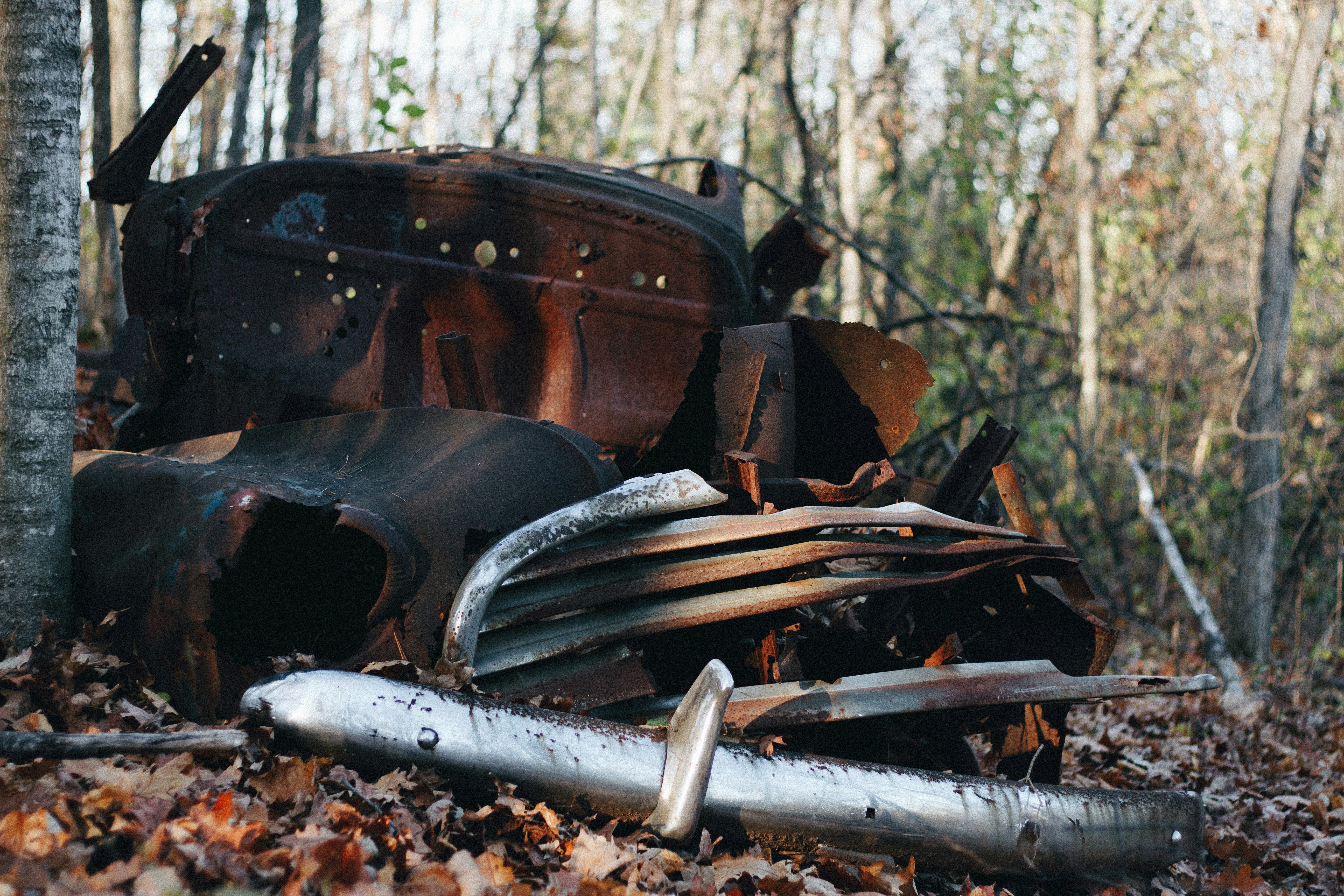 Free Unsplash photo from Dan Ritson