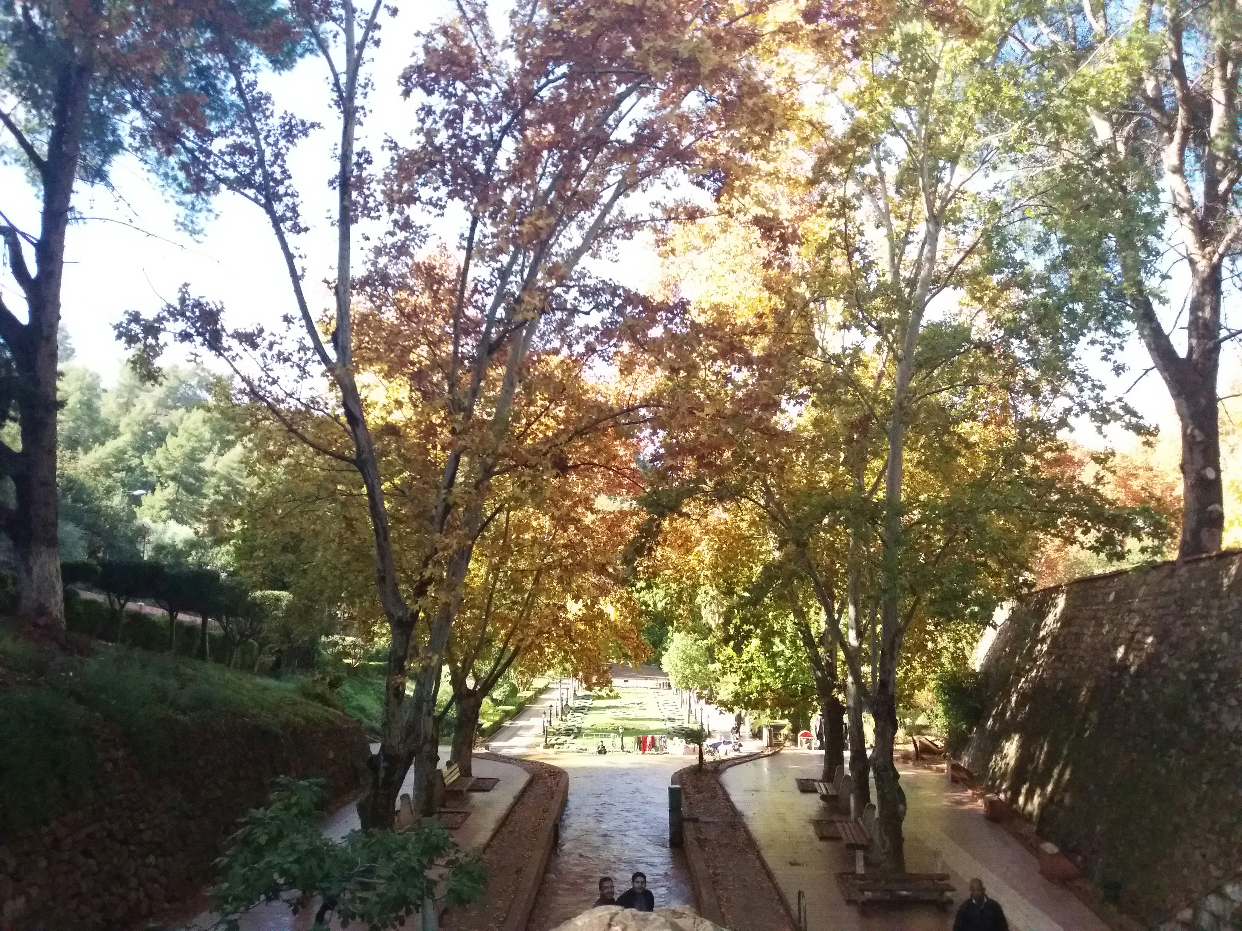 Free Unsplash photo from Mohammed Zraibi