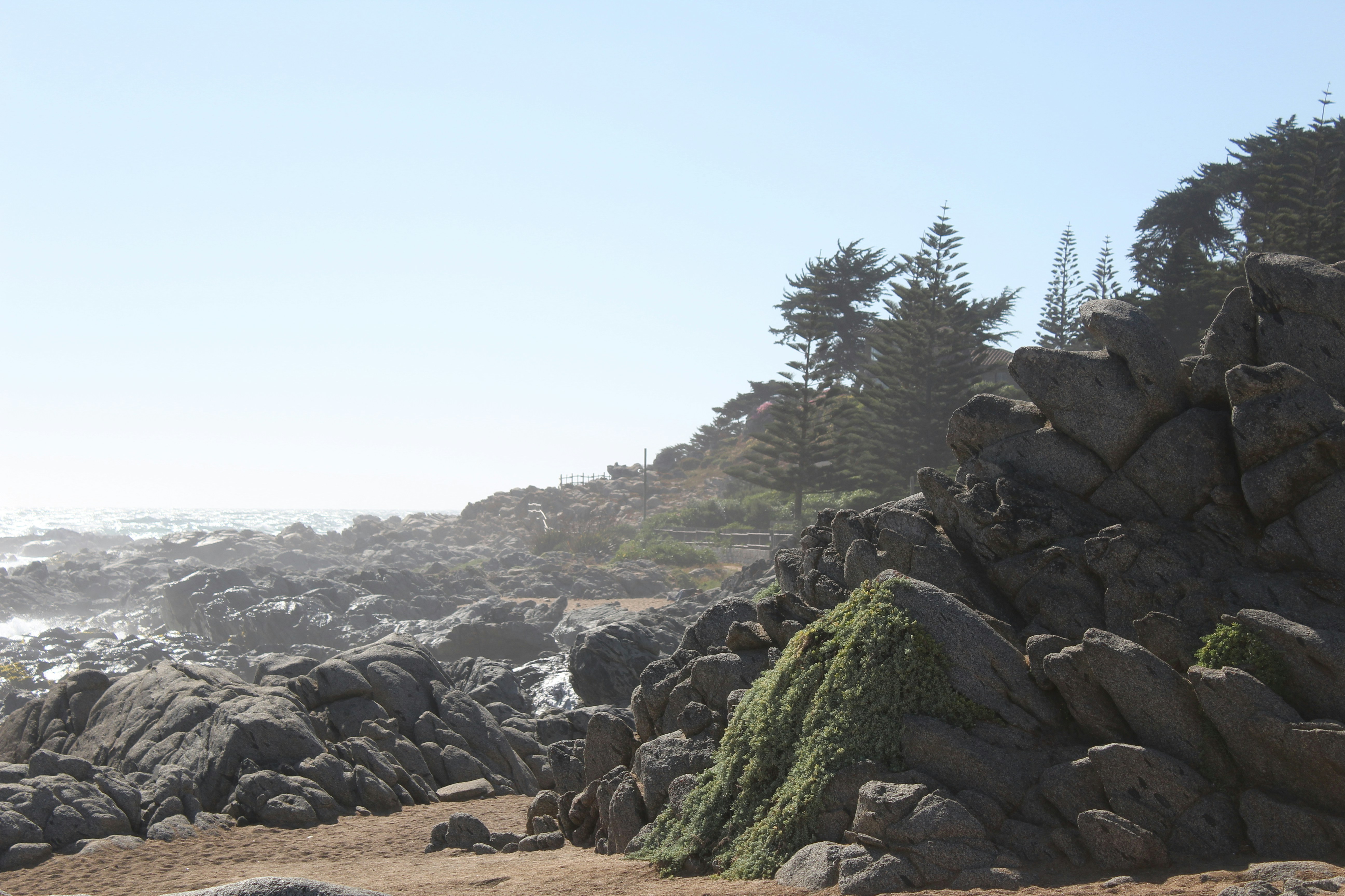 Free Unsplash photo from Camila Serey