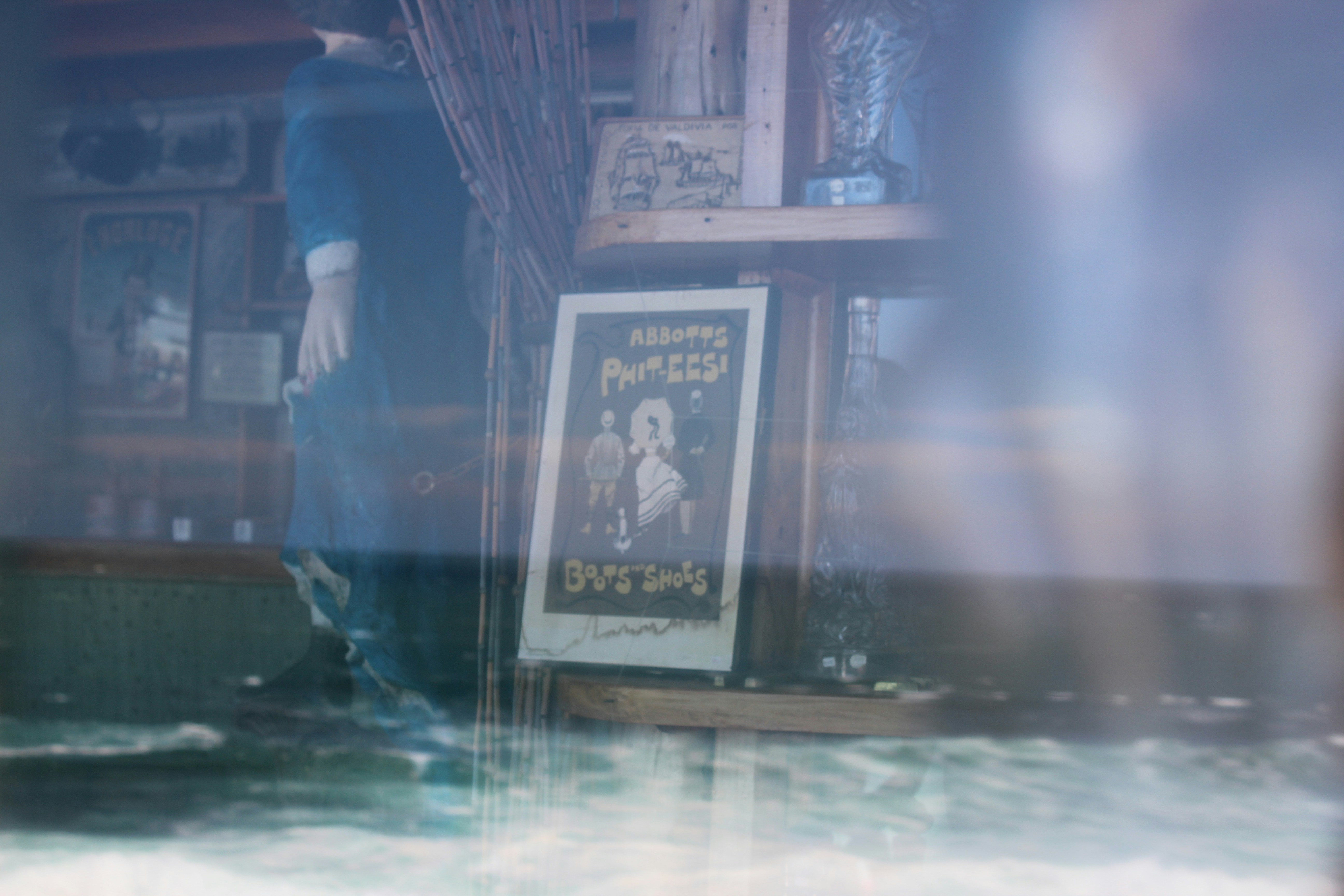 Free Unsplash photo from Camila Serey