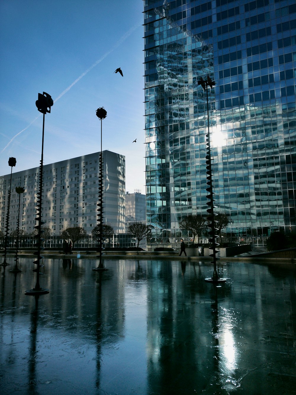 buildings near body of water