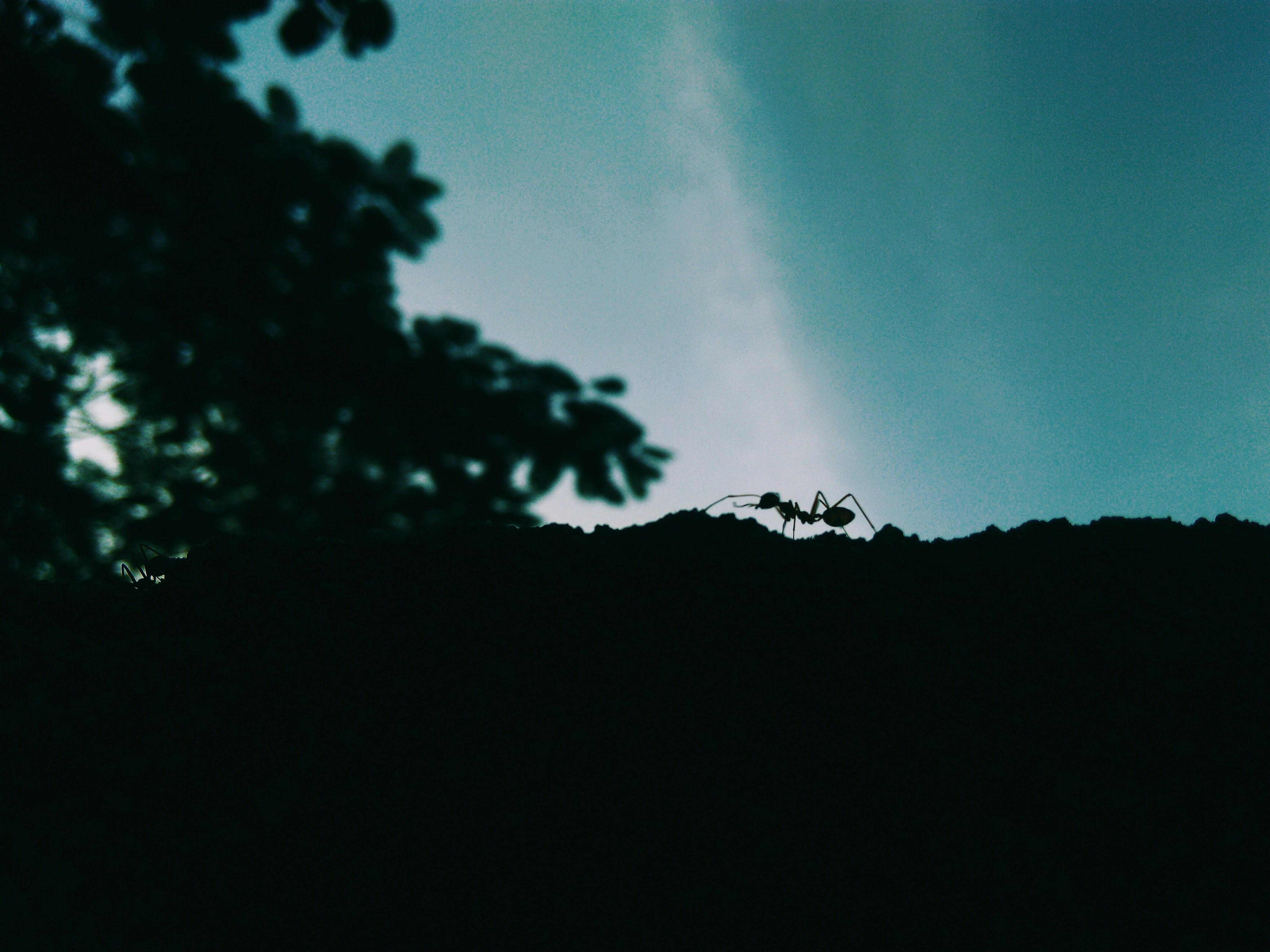 Free Unsplash photo from Archana Prasad