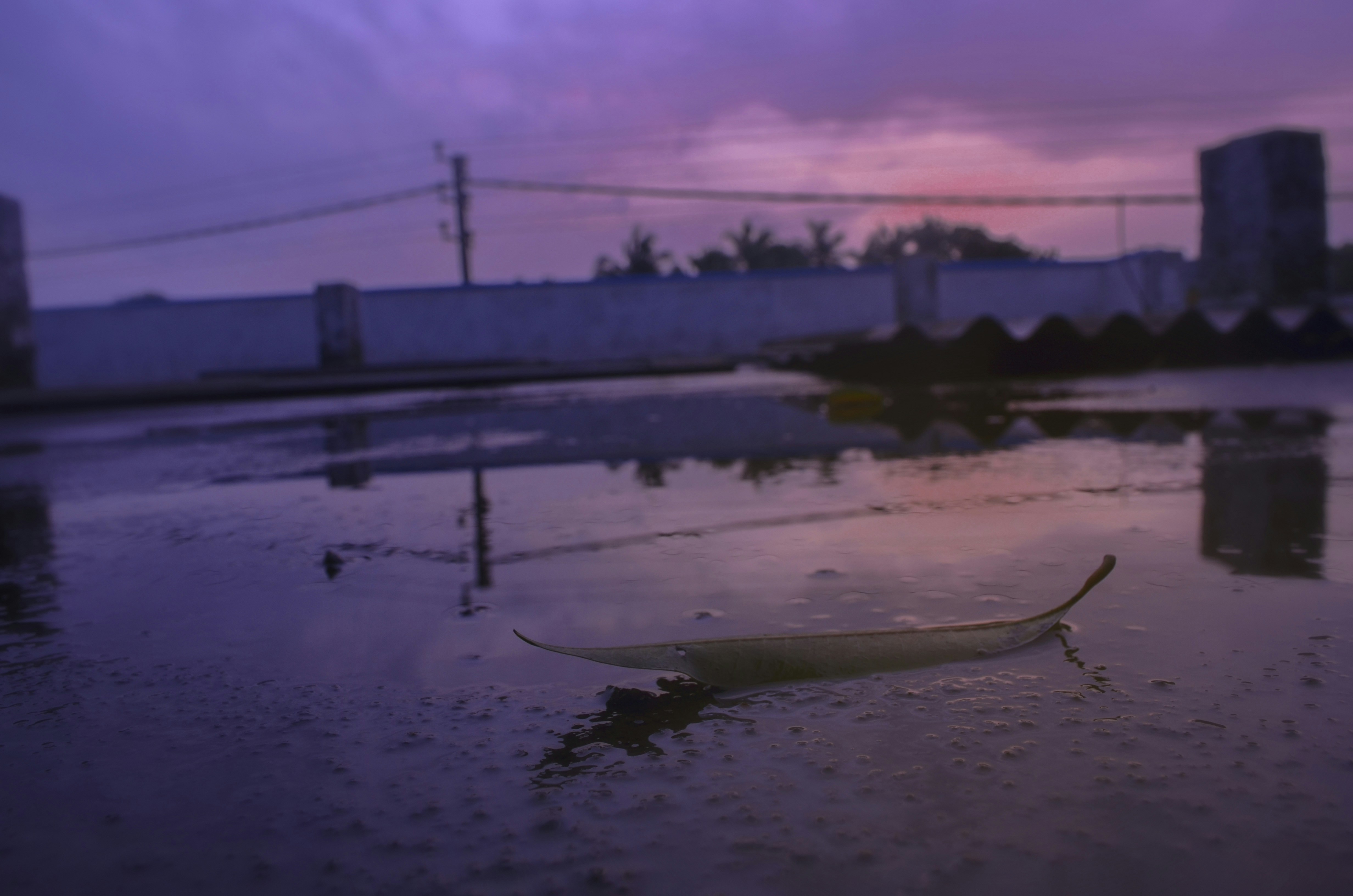 Free Unsplash photo from Sanath SP