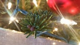 Close-up of a pine tree branch adorned with handmade red and white ornaments.