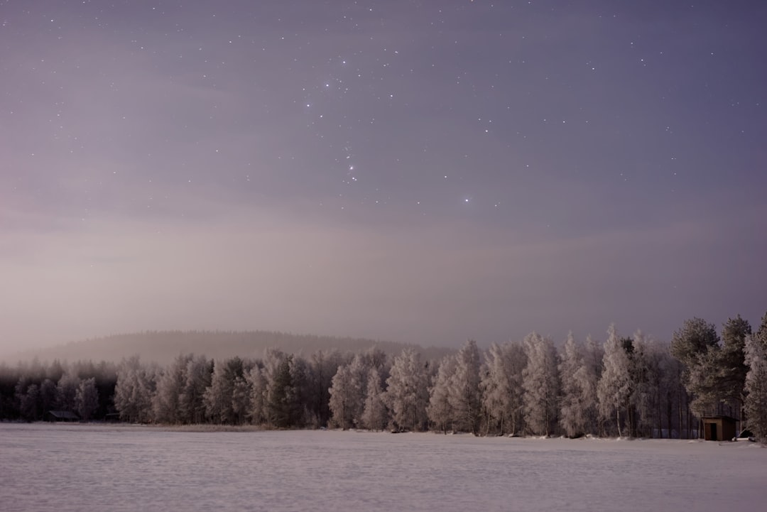 snow covered field with tress during night time