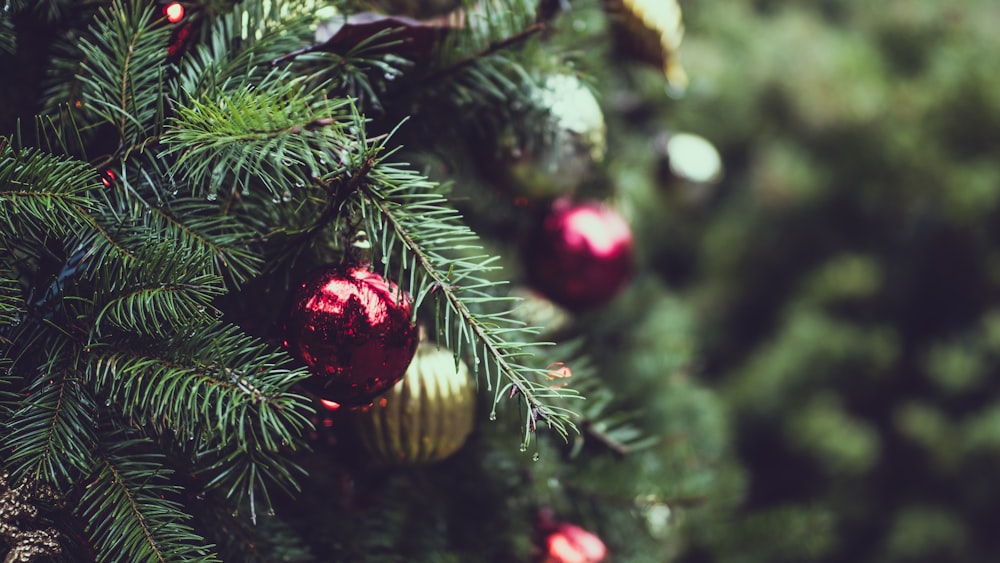 selective focus photograph of red and gold Christmas bauble balls