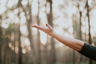 tilt shift lens photography of person lifting hand