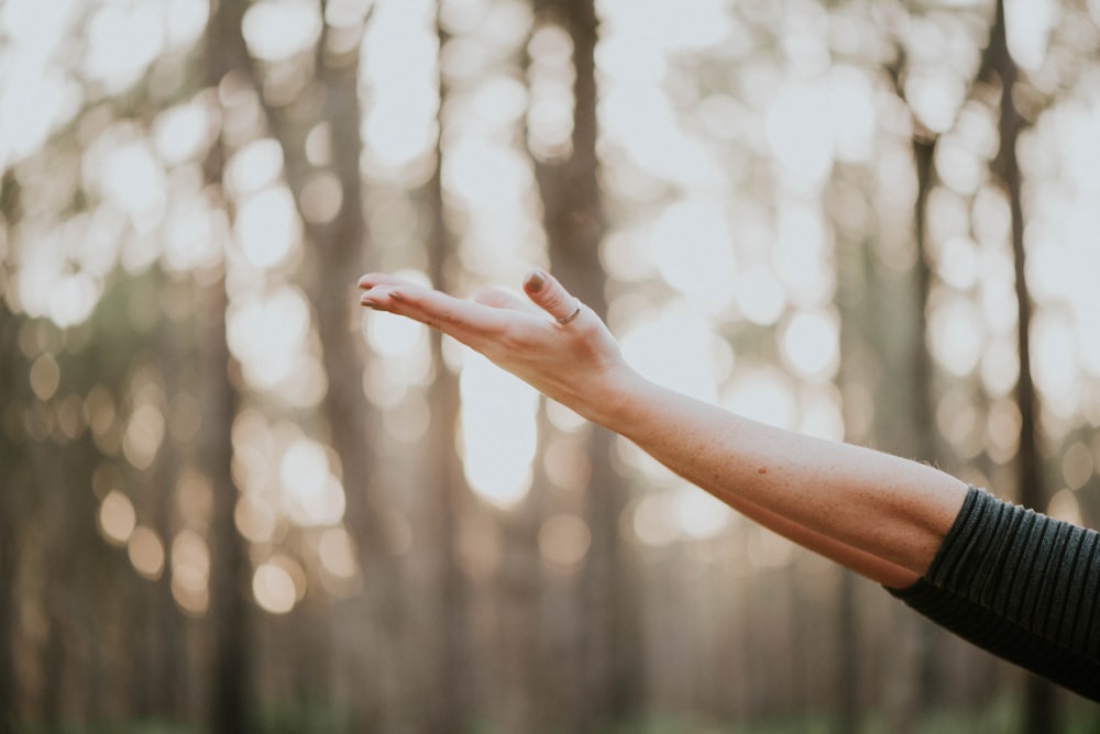 tilt shift lens photography of person lifting hand