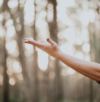 tilt shift lens photography of person lifting hand