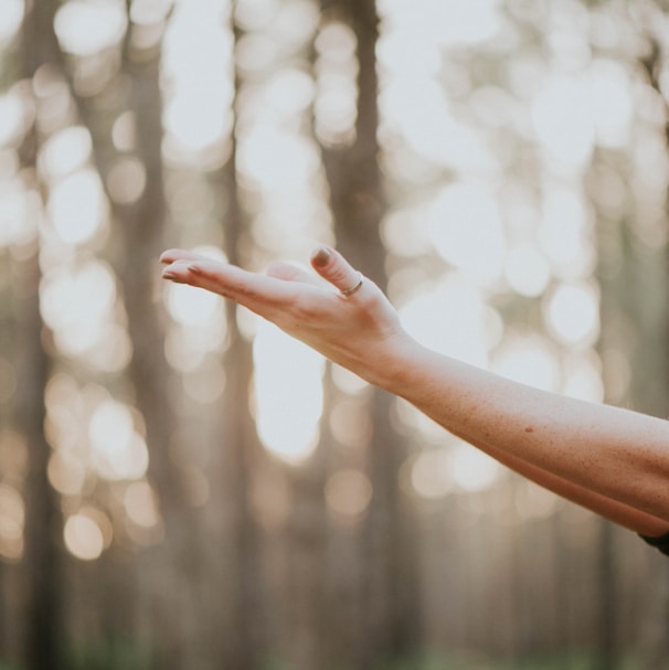 tilt shift lens photography of person lifting hand