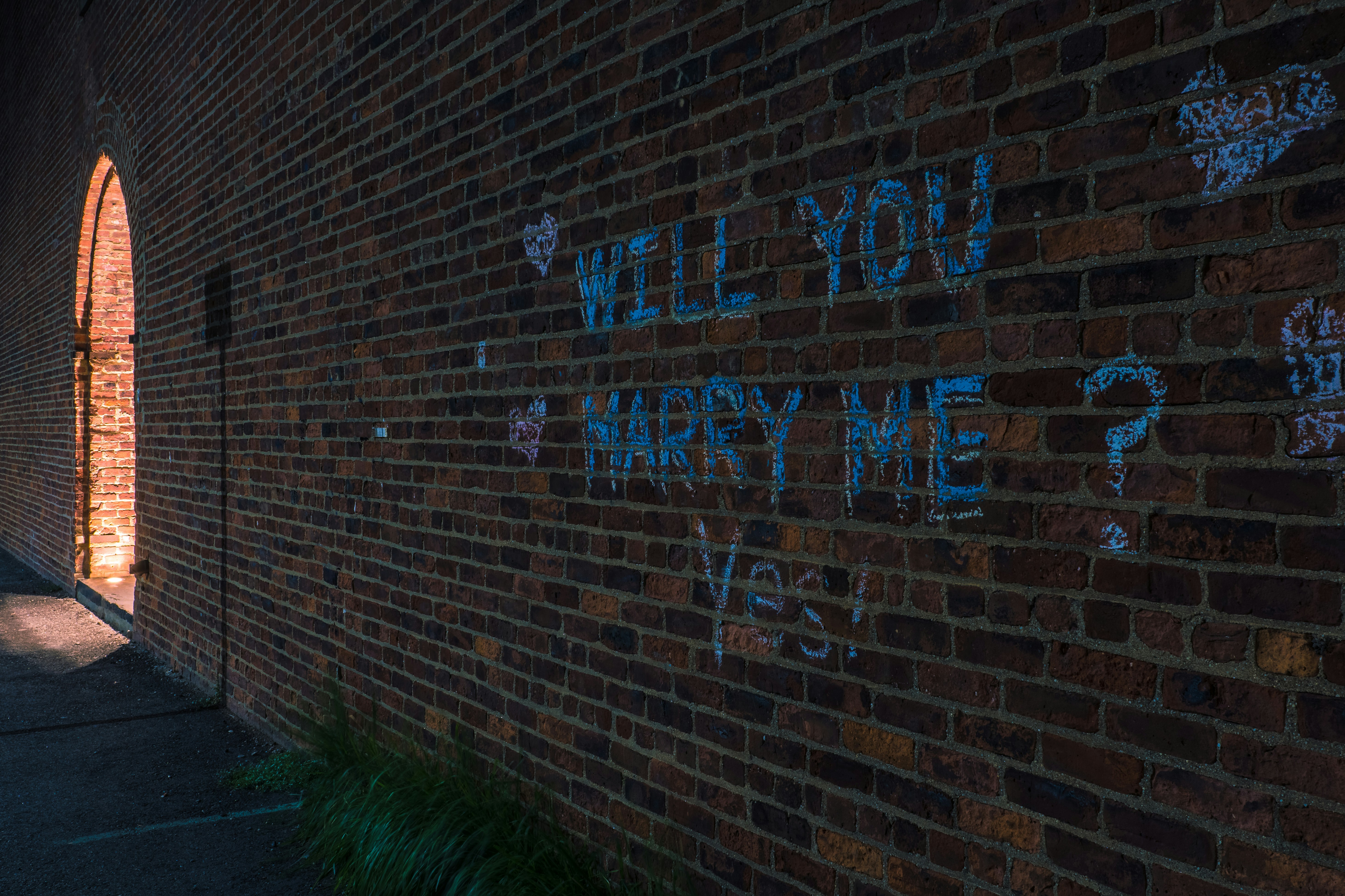 Free Unsplash photo from Steven Mercedes