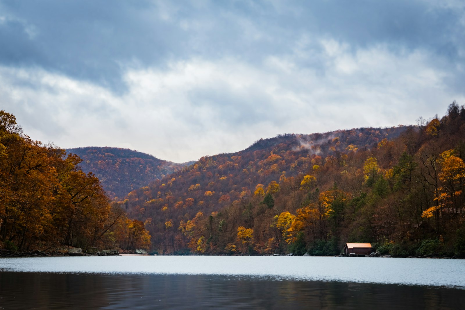 Panasonic Lumix DMC-GH4 + Panasonic Lumix G X Vario 12-35mm F2.8 ASPH Power OIS sample photo. Landscape photo of trees photography